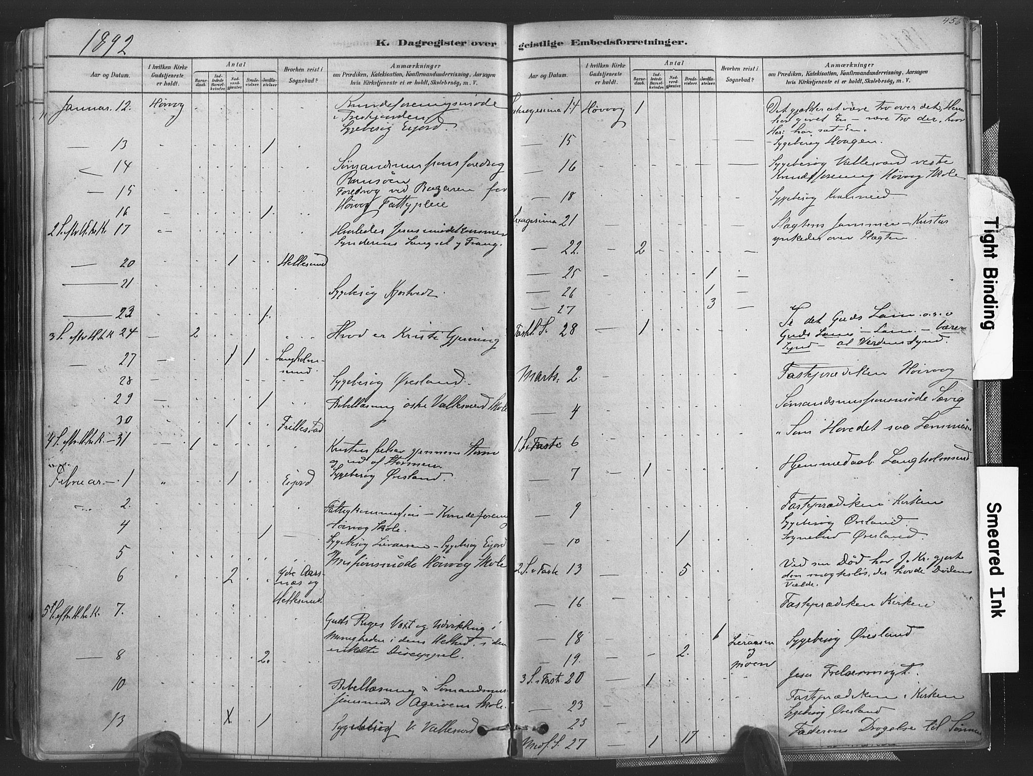 Høvåg sokneprestkontor, AV/SAK-1111-0025/F/Fa/L0005: Parish register (official) no. A 5, 1878-1893, p. 456