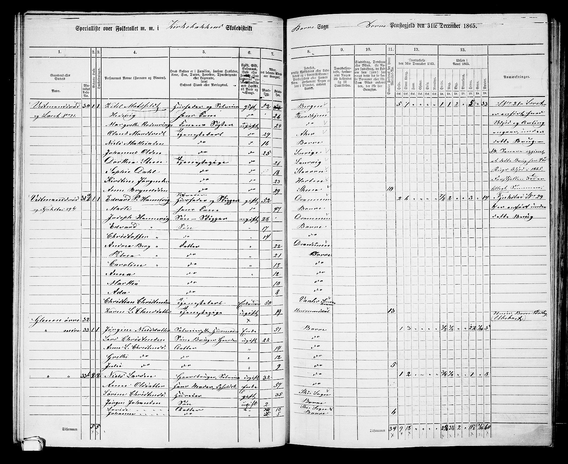 RA, 1865 census for Borre, 1865, p. 64