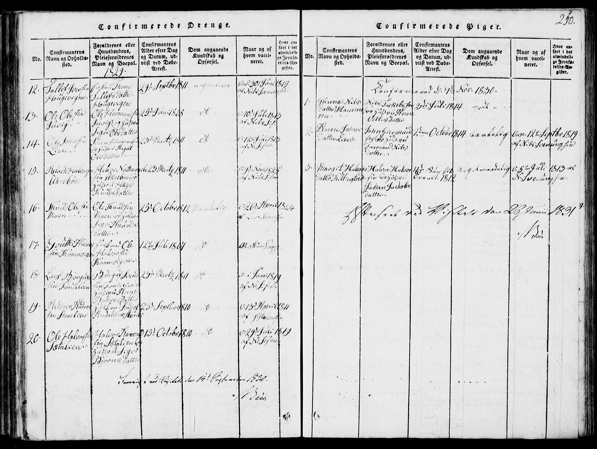 Rauland kirkebøker, SAKO/A-292/G/Ga/L0001: Parish register (copy) no. I 1, 1814-1843, p. 250