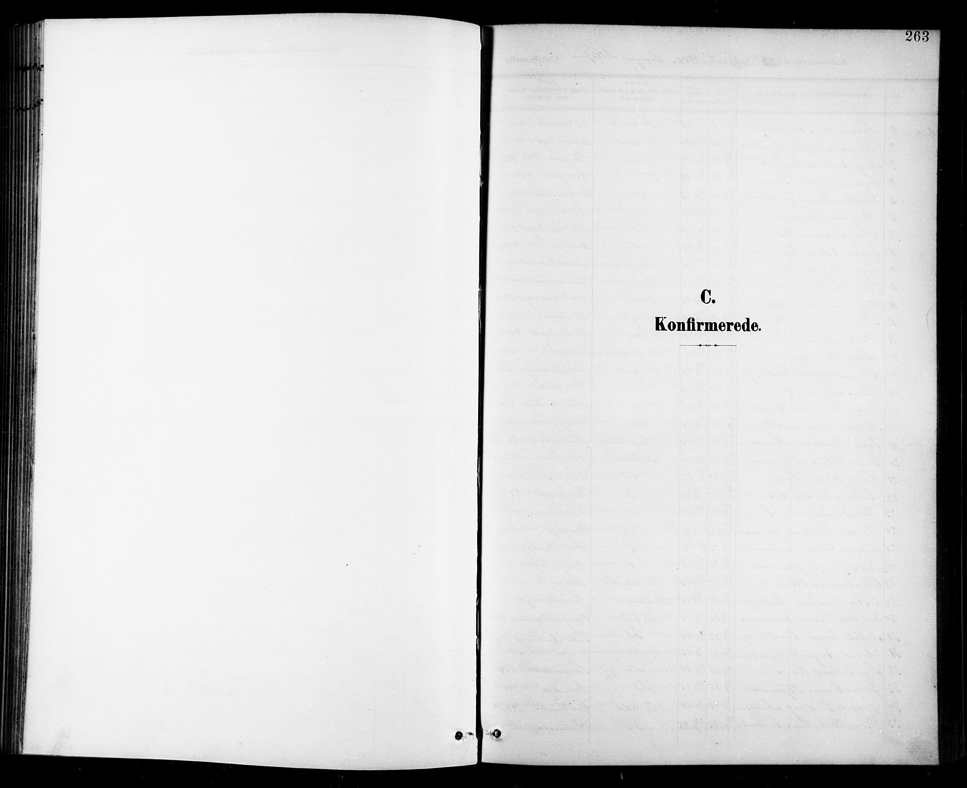 Halden prestekontor Kirkebøker, SAO/A-10909/G/Ga/L0010: Parish register (copy) no. 10, 1900-1923, p. 263