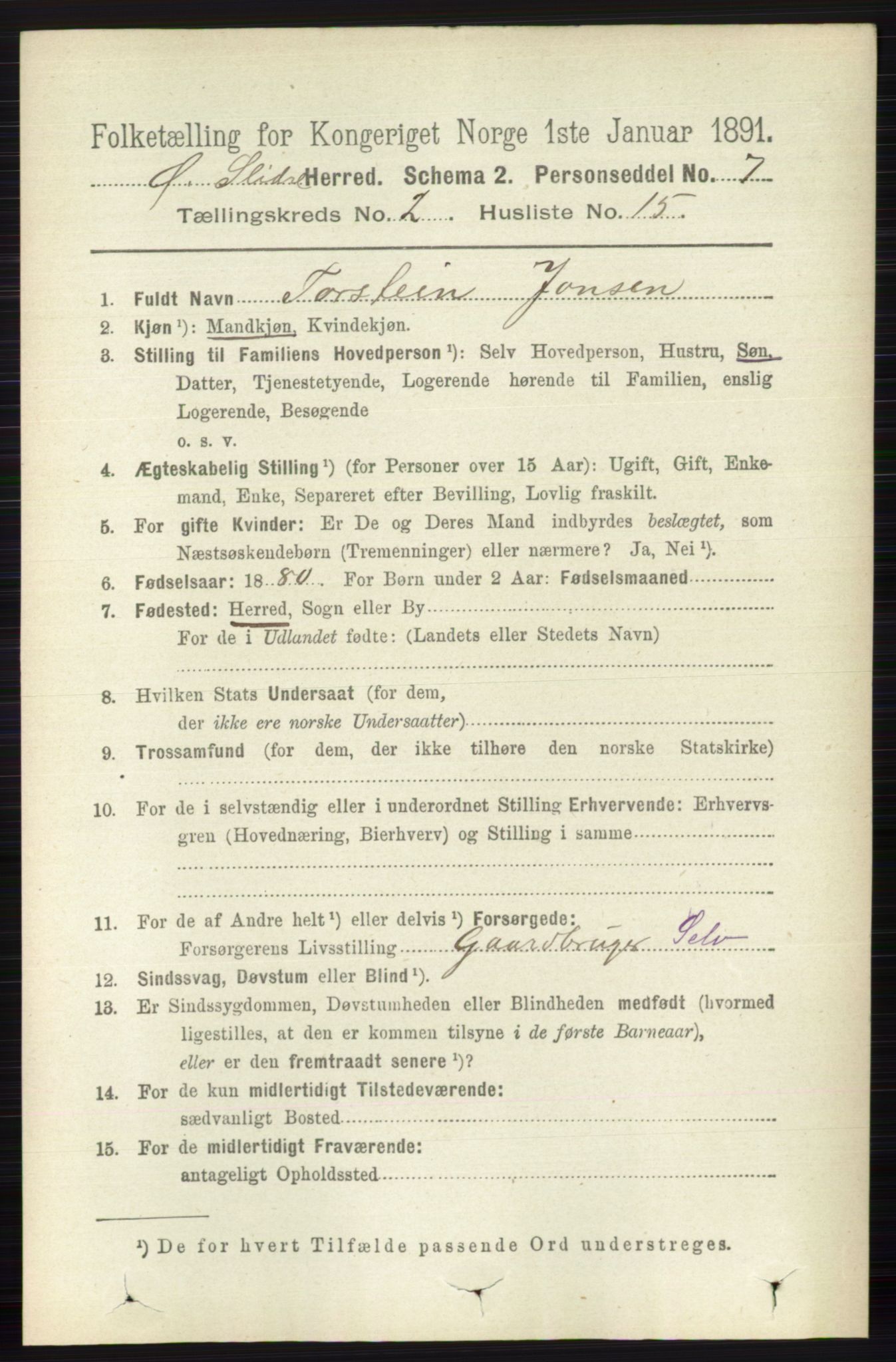 RA, 1891 census for 0544 Øystre Slidre, 1891, p. 357