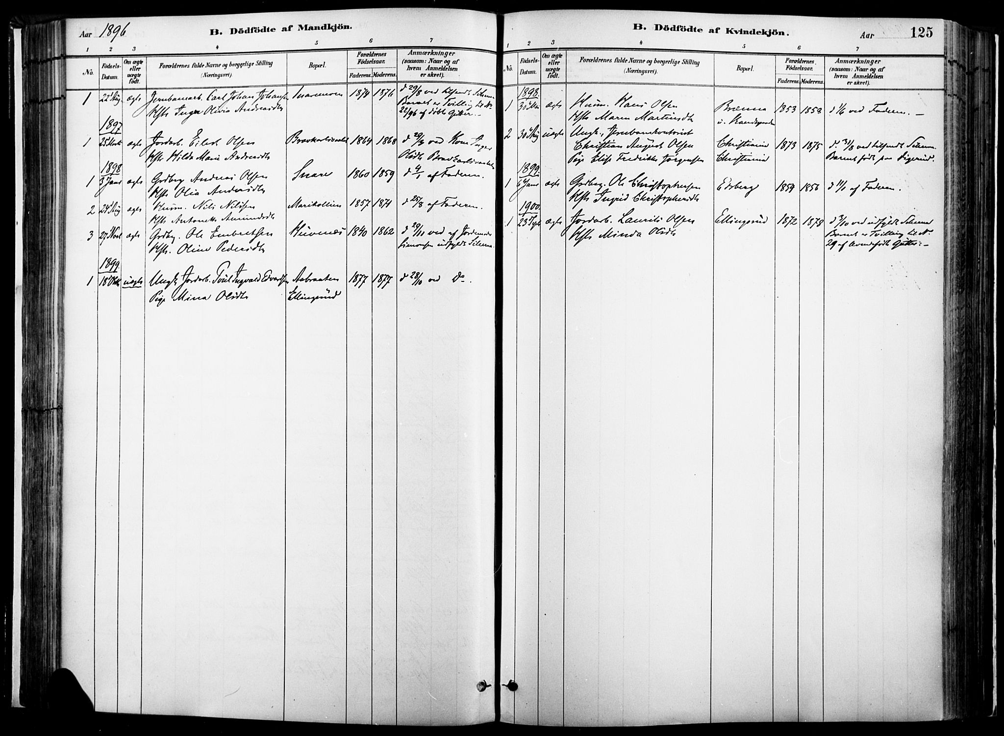 Vinger prestekontor, SAH/PREST-024/H/Ha/Haa/L0014: Parish register (official) no. 14, 1881-1900, p. 125