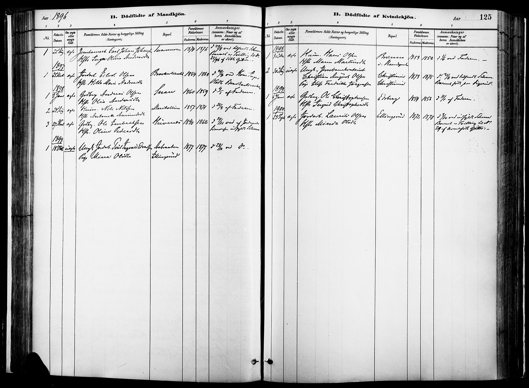 Vinger prestekontor, AV/SAH-PREST-024/H/Ha/Haa/L0014: Parish register (official) no. 14, 1881-1900, p. 125