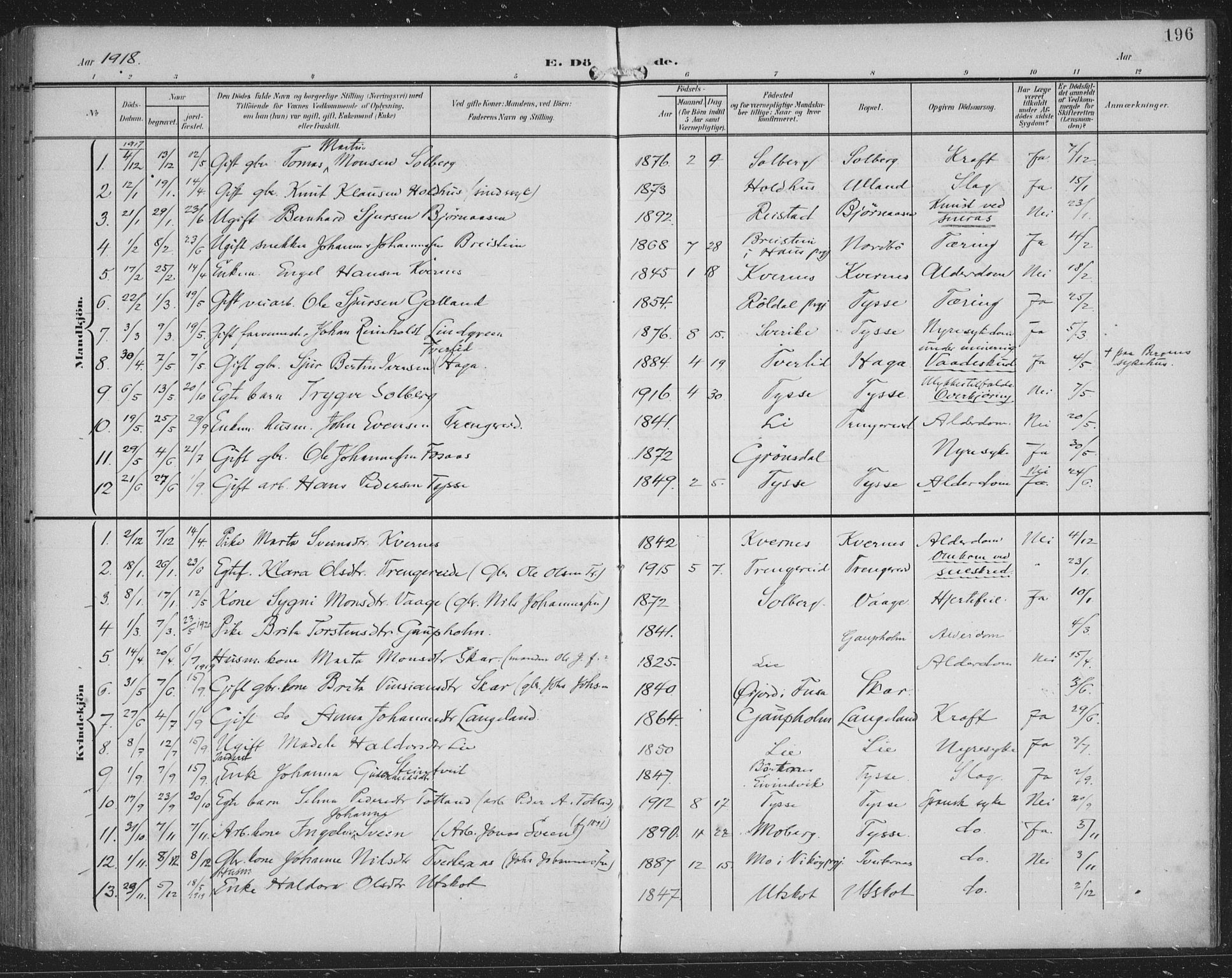 Samnanger Sokneprestembete, AV/SAB-A-77501/H/Haa: Parish register (official) no. A 2, 1902-1918, p. 196