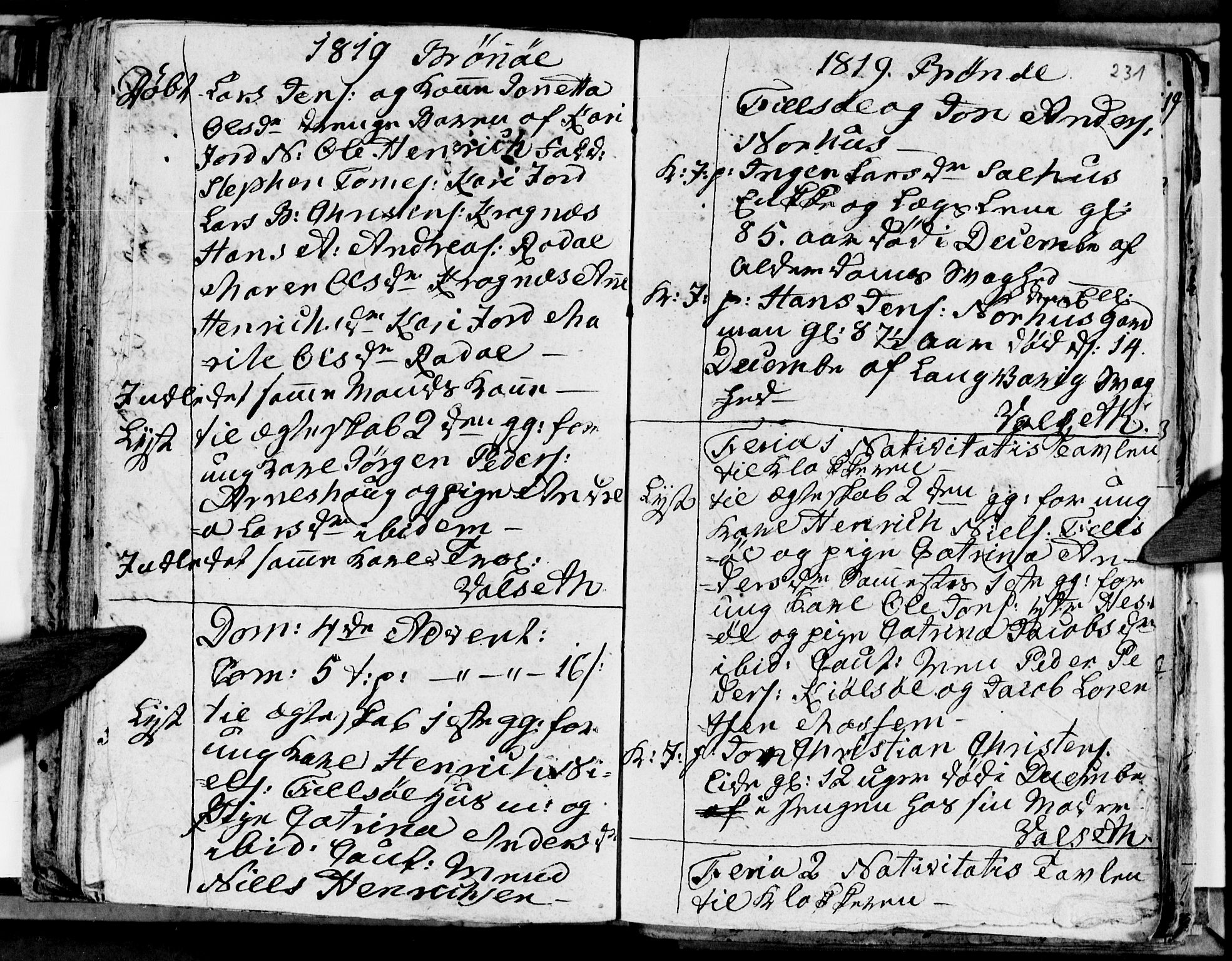 Ministerialprotokoller, klokkerbøker og fødselsregistre - Nordland, AV/SAT-A-1459/813/L0209: Parish register (copy) no. 813C01, 1803-1821, p. 231