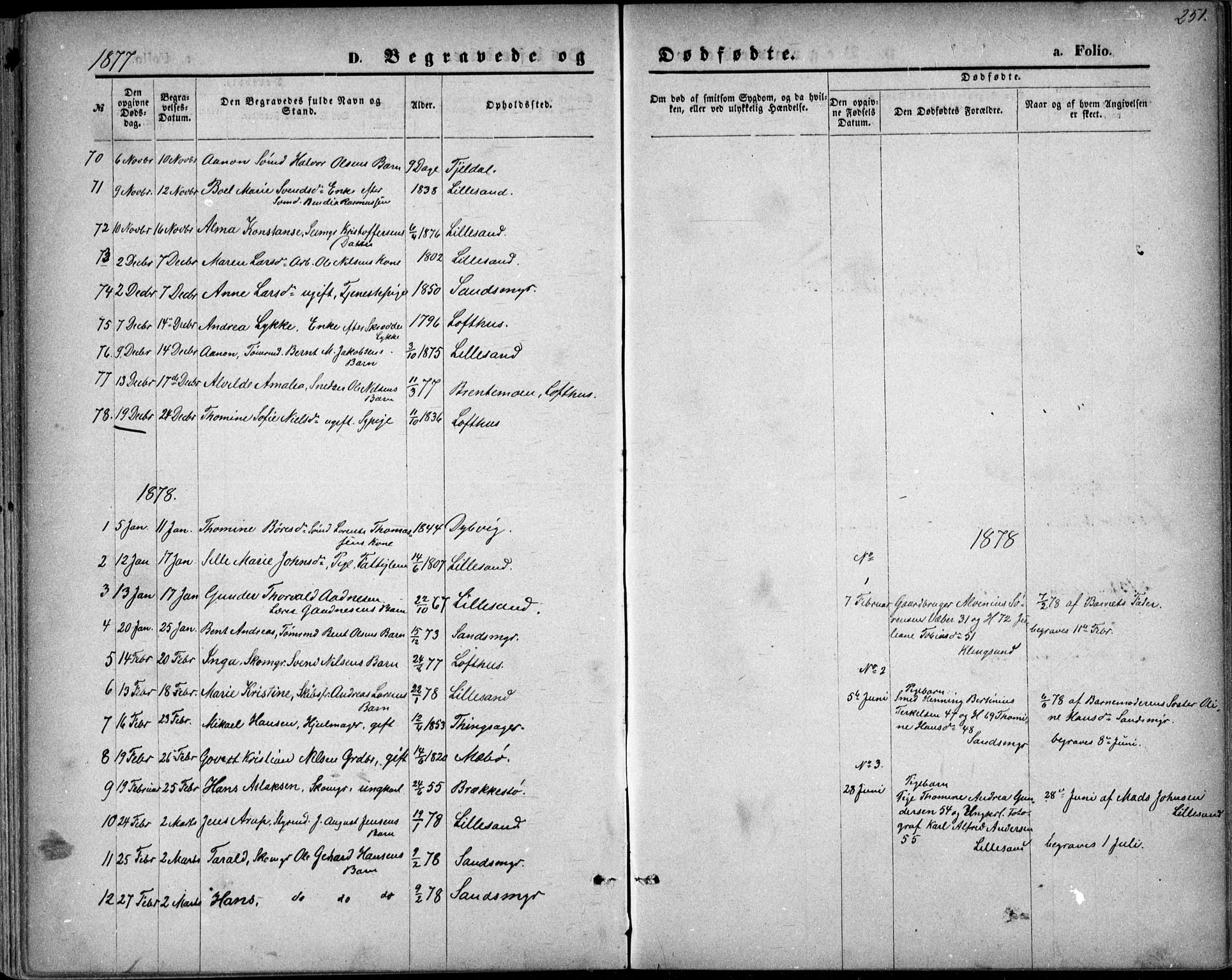 Vestre Moland sokneprestkontor, SAK/1111-0046/F/Fb/Fbb/L0005: Parish register (copy) no. B 5, 1872-1883, p. 251
