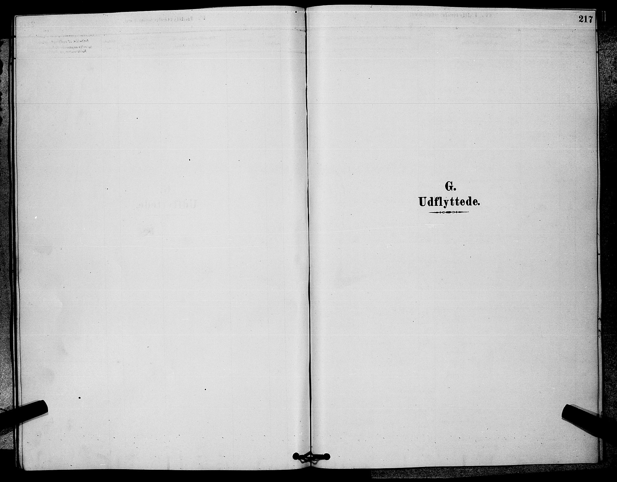 Rollag kirkebøker, SAKO/A-240/G/Ga/L0004: Parish register (copy) no. I 4, 1878-1903, p. 217