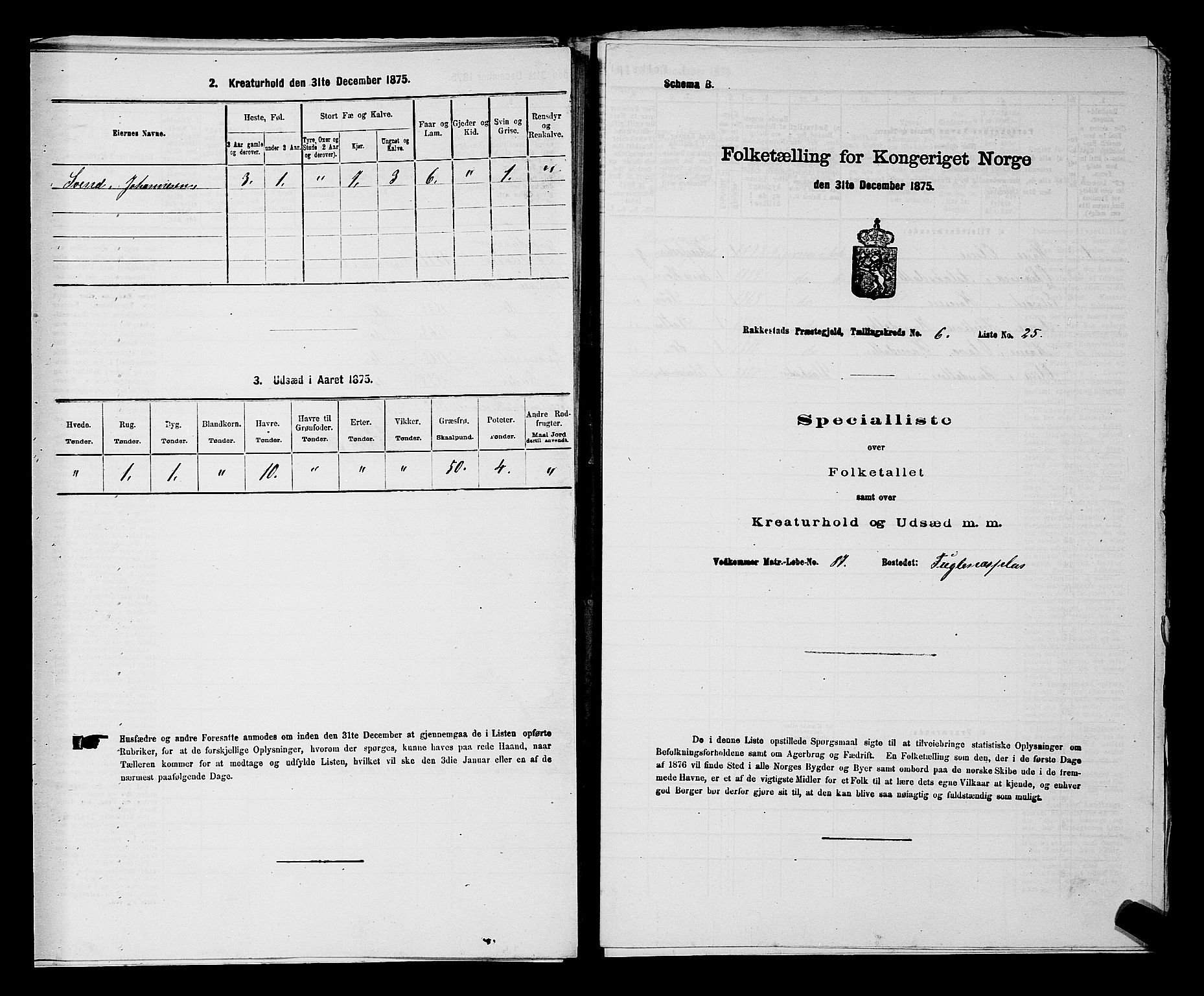 RA, 1875 census for 0128P Rakkestad, 1875, p. 728
