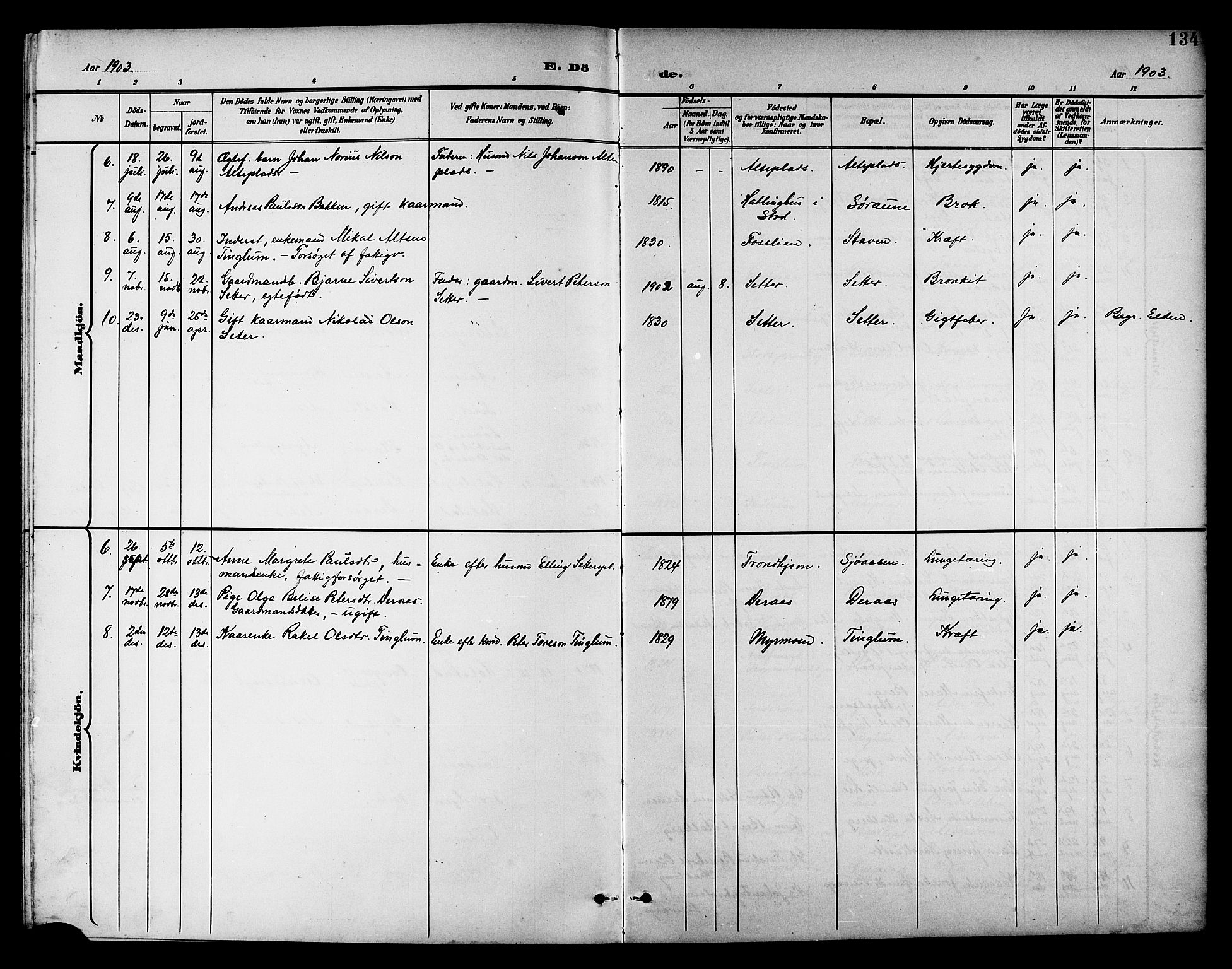 Ministerialprotokoller, klokkerbøker og fødselsregistre - Nord-Trøndelag, SAT/A-1458/742/L0412: Parish register (copy) no. 742C03, 1898-1910, p. 134