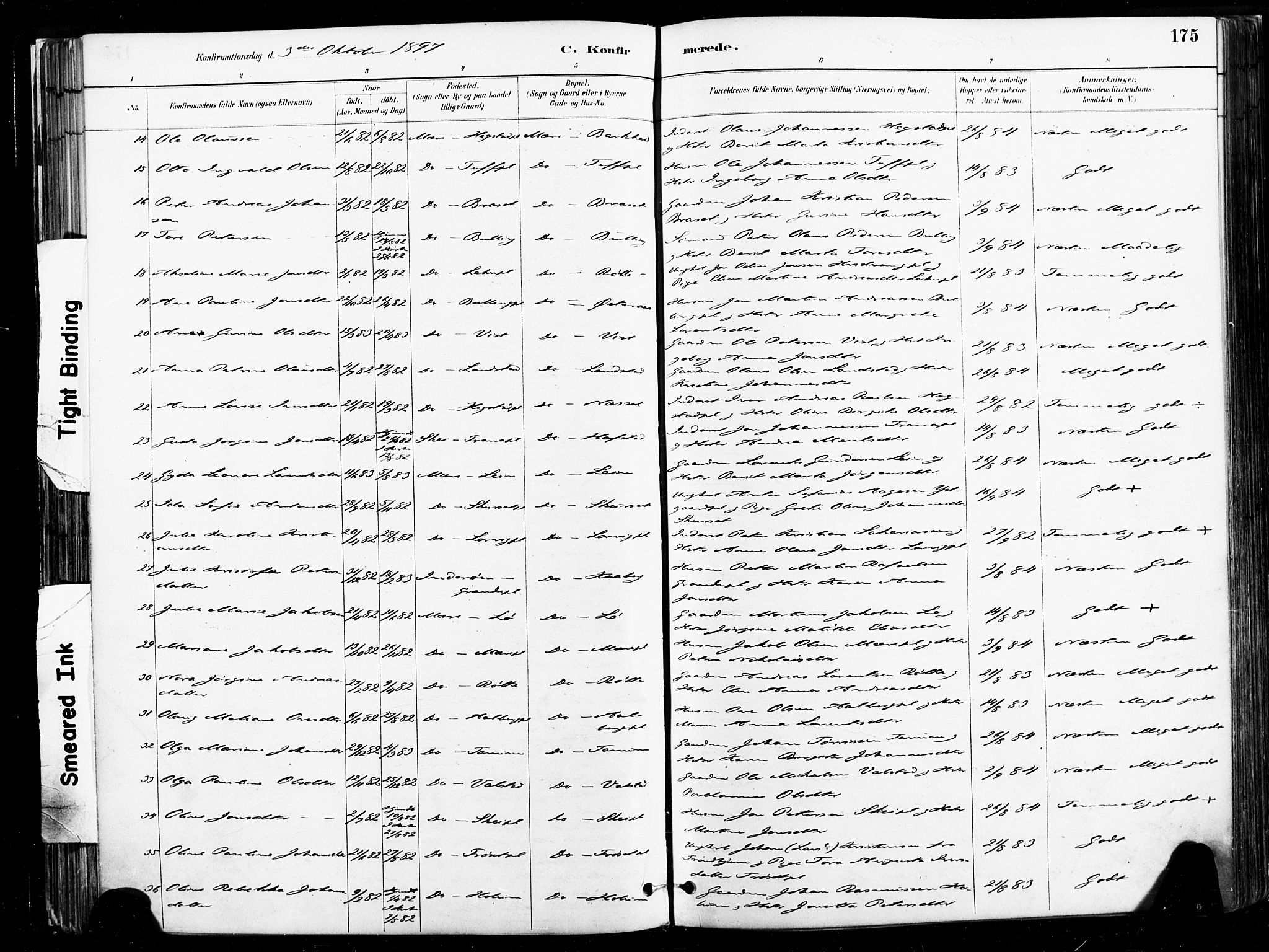 Ministerialprotokoller, klokkerbøker og fødselsregistre - Nord-Trøndelag, AV/SAT-A-1458/735/L0351: Parish register (official) no. 735A10, 1884-1908, p. 175