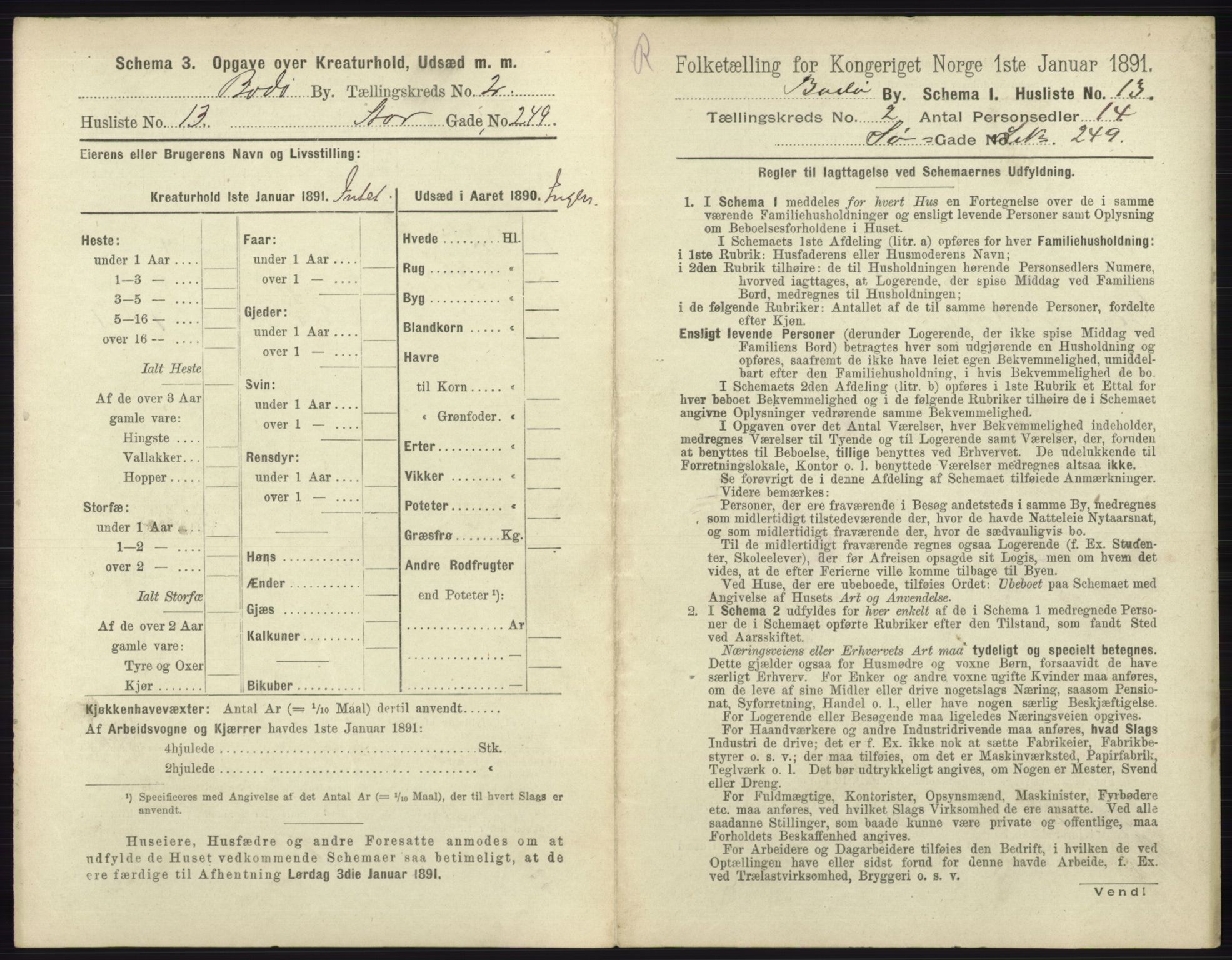 RA, 1891 census for 1804 Bodø, 1891, p. 874