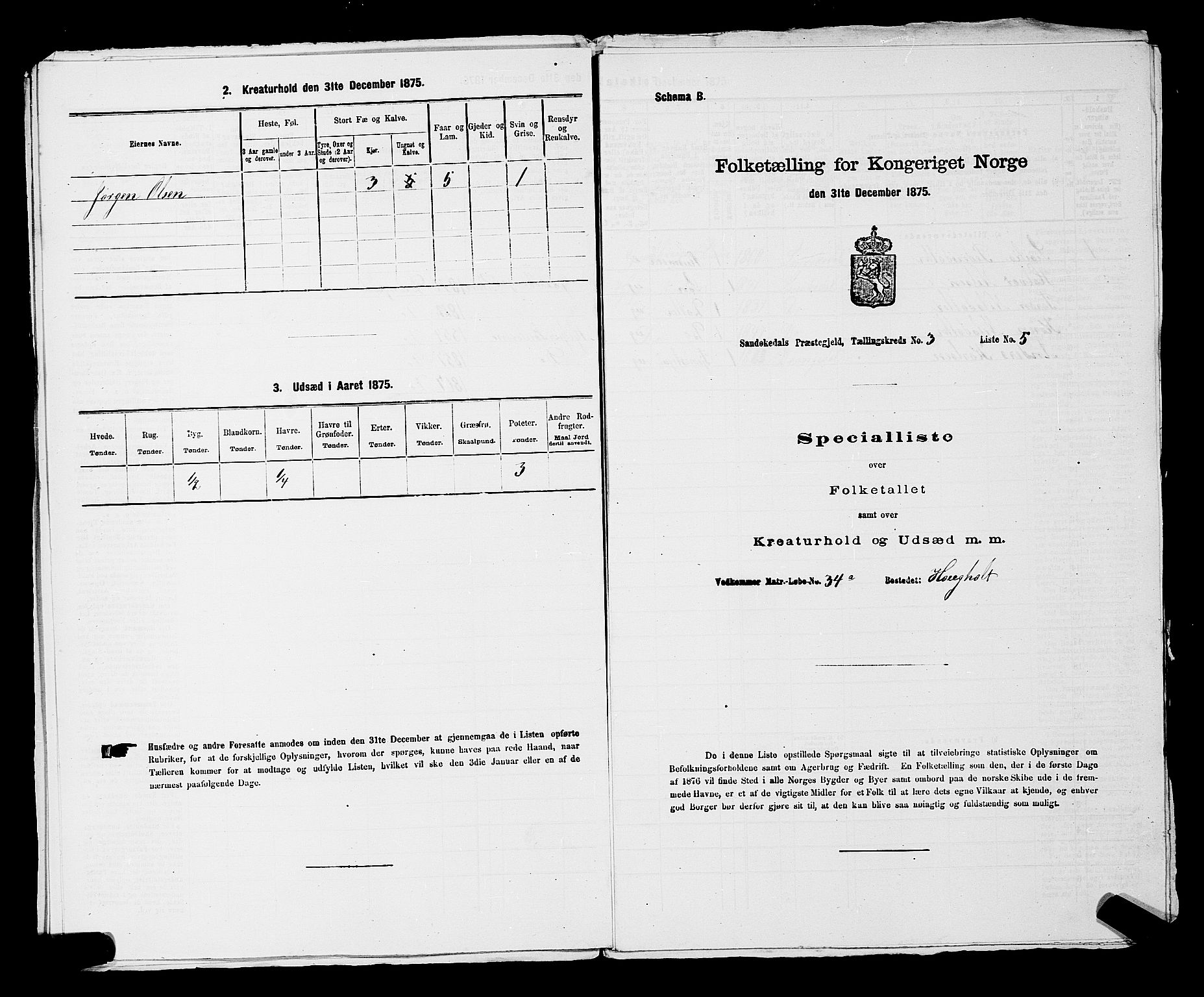 SAKO, 1875 census for 0816P Sannidal, 1875, p. 234