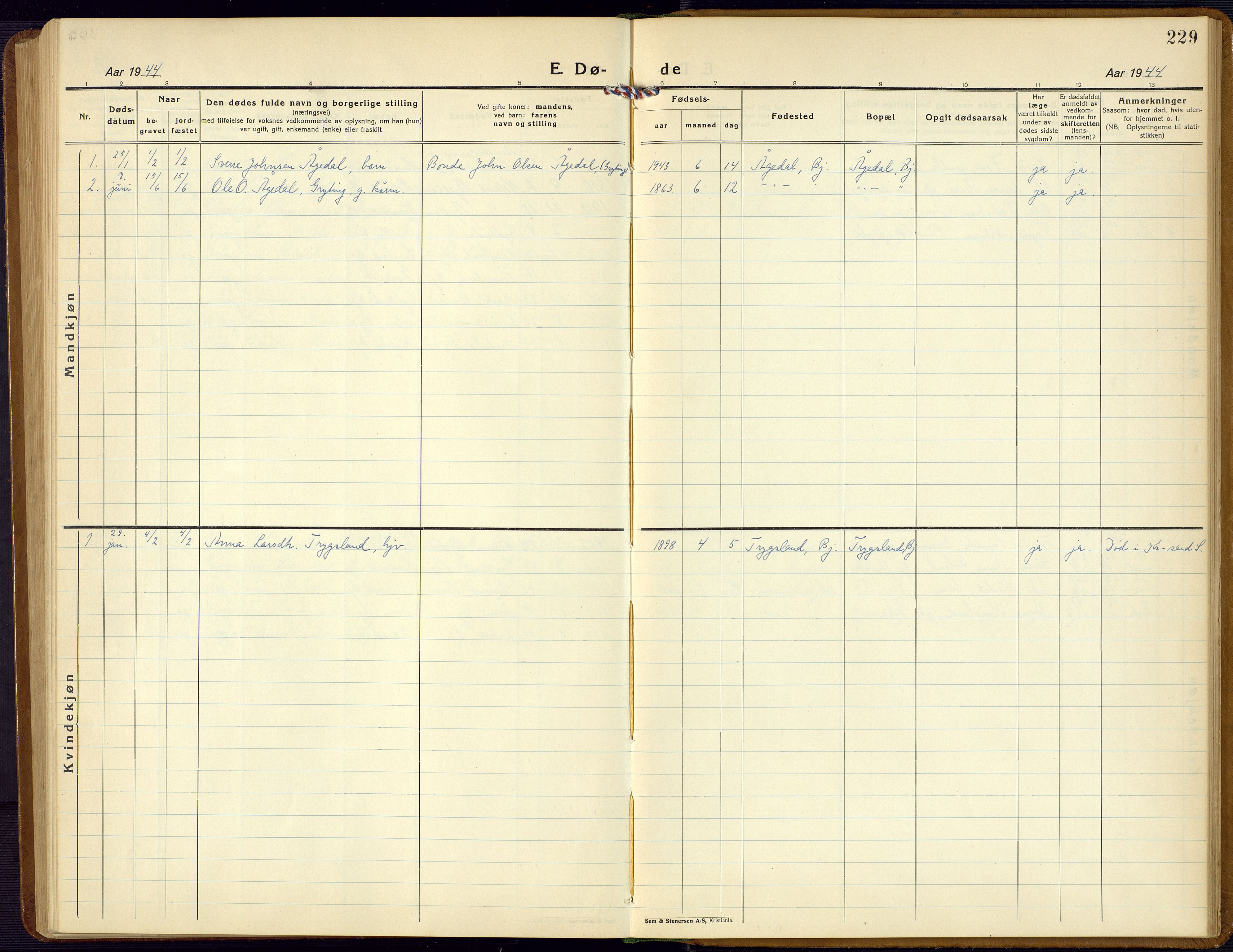 Bjelland sokneprestkontor, AV/SAK-1111-0005/F/Fb/Fba/L0006: Parish register (copy) no. B 6, 1923-1956, p. 229