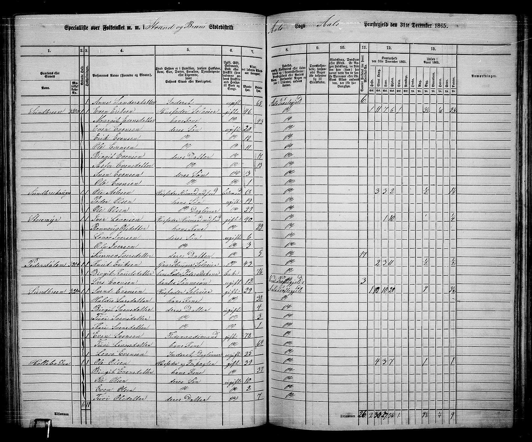 RA, 1865 census for Ål, 1865, p. 160