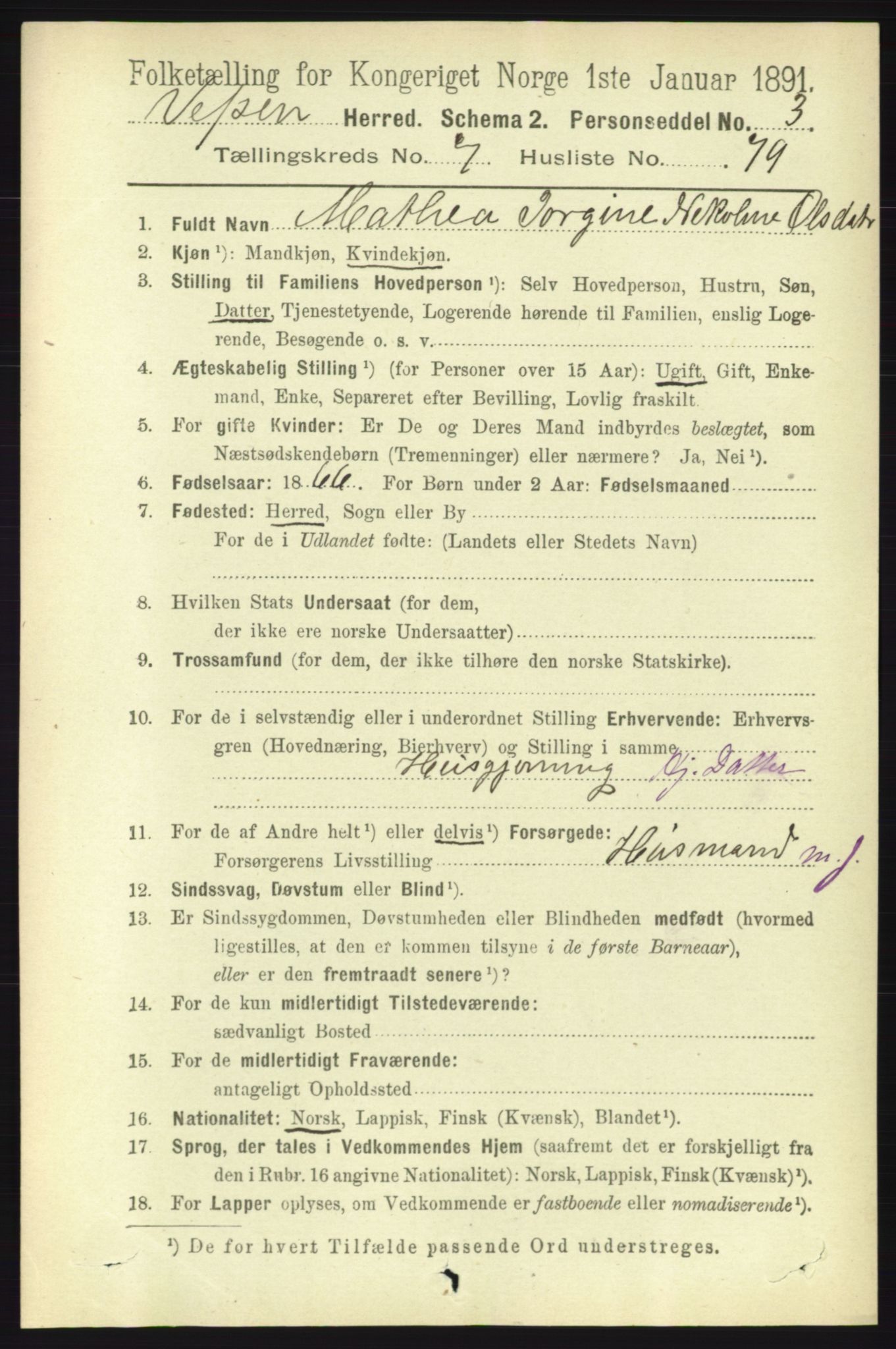 RA, 1891 census for 1824 Vefsn, 1891, p. 4181