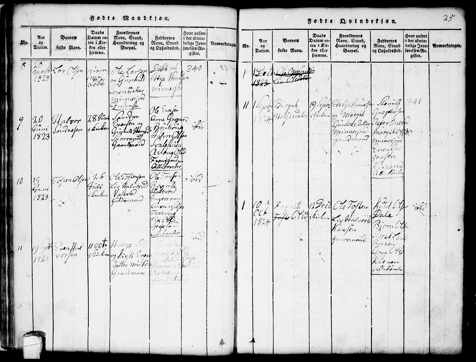 Seljord kirkebøker, SAKO/A-20/G/Gb/L0002: Parish register (copy) no. II 2, 1815-1854, p. 25