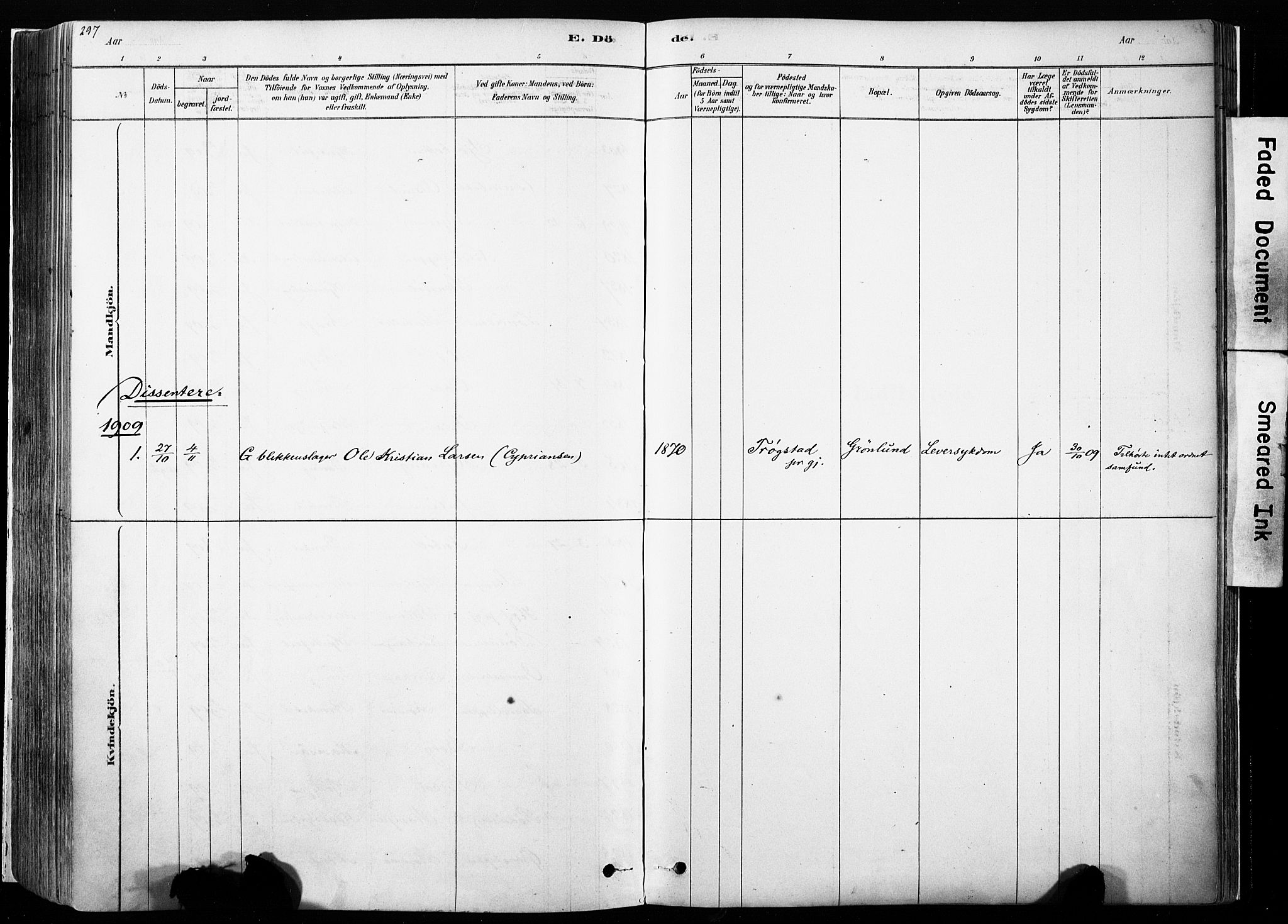 Hof prestekontor, SAH/PREST-038/H/Ha/Haa/L0010: Parish register (official) no. 10, 1878-1909, p. 297