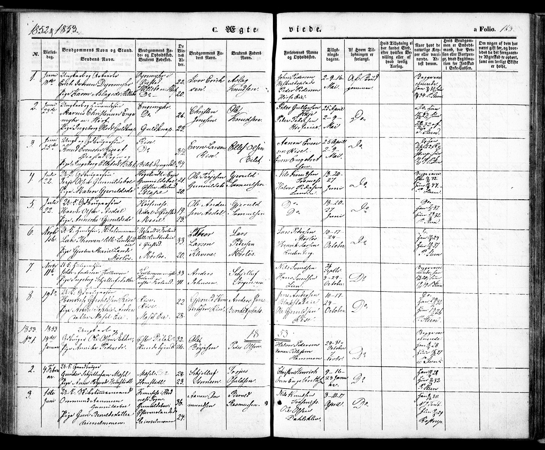 Froland sokneprestkontor, SAK/1111-0013/F/Fa/L0002: Parish register (official) no. A 2, 1845-1863, p. 163