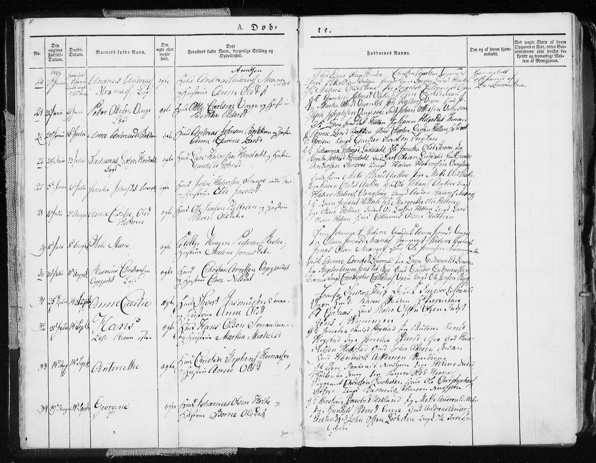 Ministerialprotokoller, klokkerbøker og fødselsregistre - Nord-Trøndelag, AV/SAT-A-1458/713/L0114: Parish register (official) no. 713A05, 1827-1839, p. 10