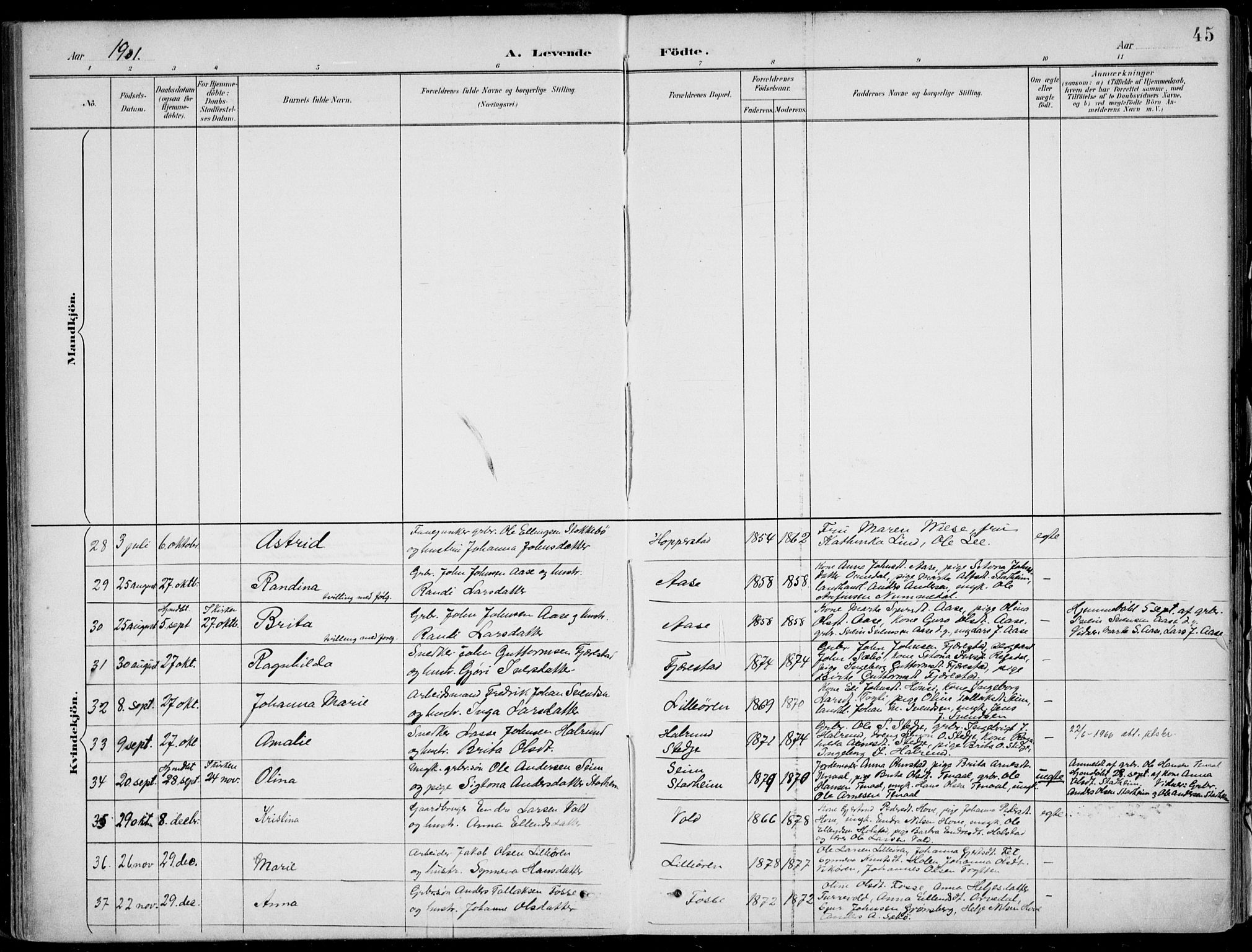 Vik sokneprestembete, AV/SAB-A-81501/H/Haa/Haab/L0002: Parish register (official) no. B  2, 1891-1907, p. 45