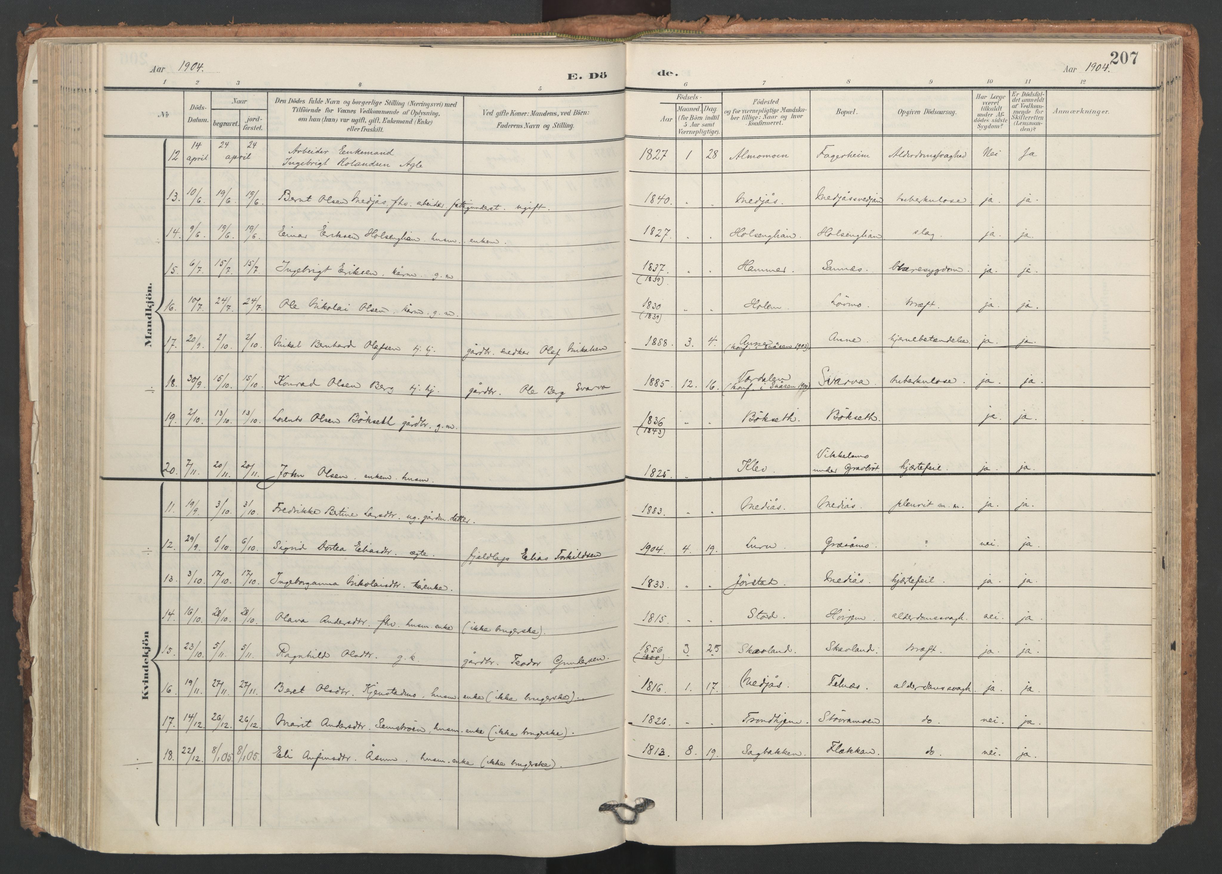 Ministerialprotokoller, klokkerbøker og fødselsregistre - Nord-Trøndelag, SAT/A-1458/749/L0477: Parish register (official) no. 749A11, 1902-1927, p. 207
