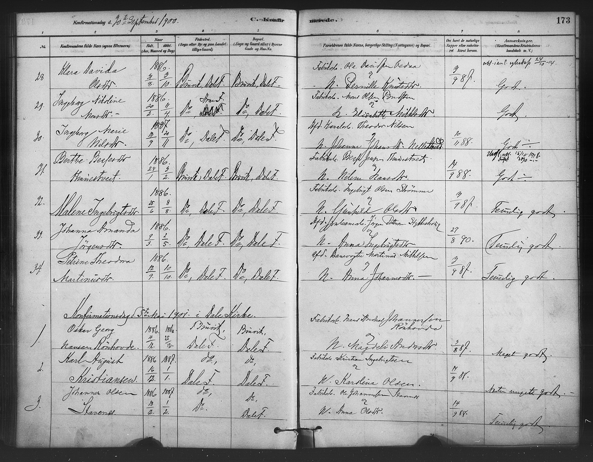 Bruvik Sokneprestembete, AV/SAB-A-74701/H/Haa: Parish register (official) no. B 1, 1878-1904, p. 173