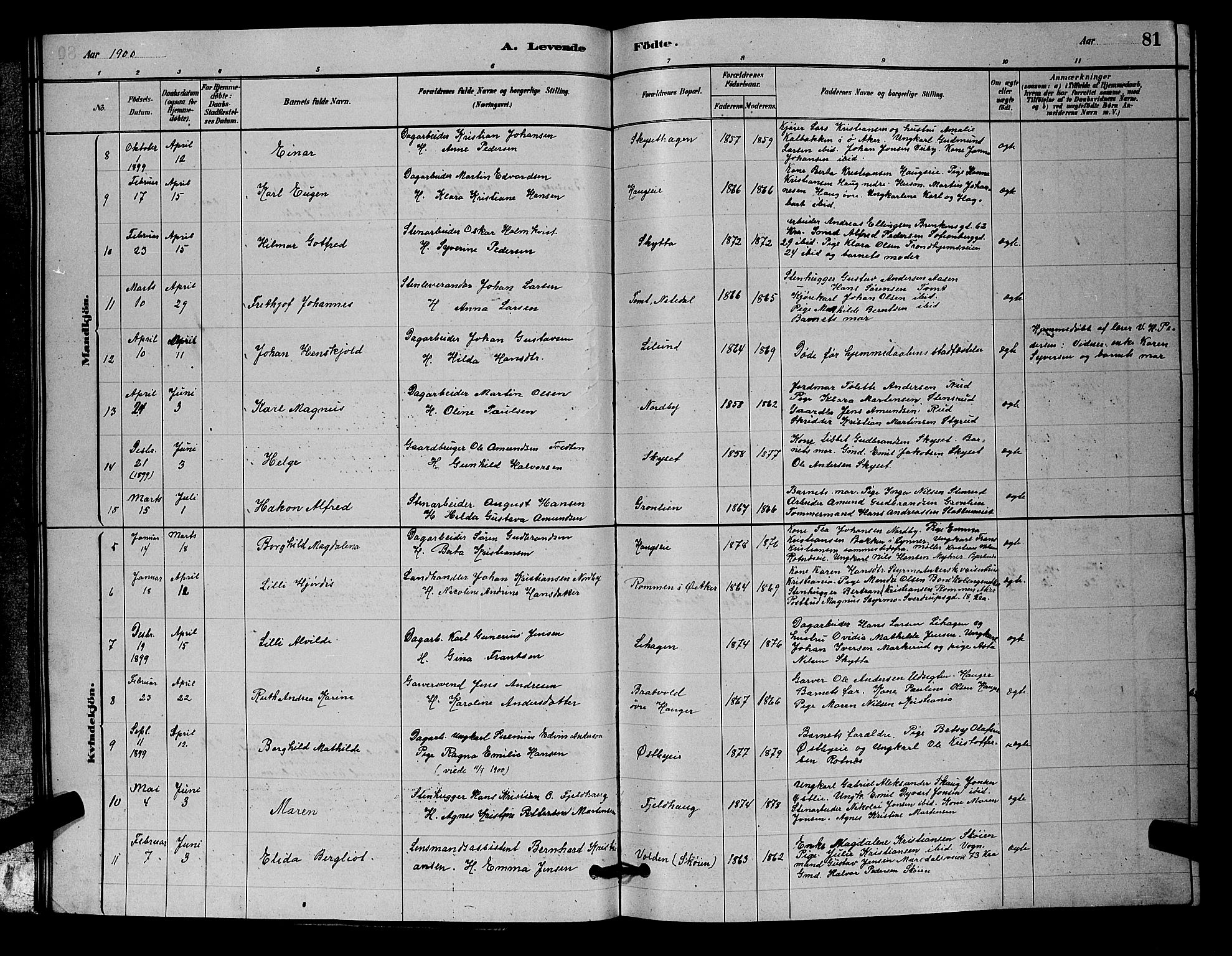 Nittedal prestekontor Kirkebøker, SAO/A-10365a/G/Ga/L0002: Parish register (copy) no. I 2, 1879-1901, p. 81