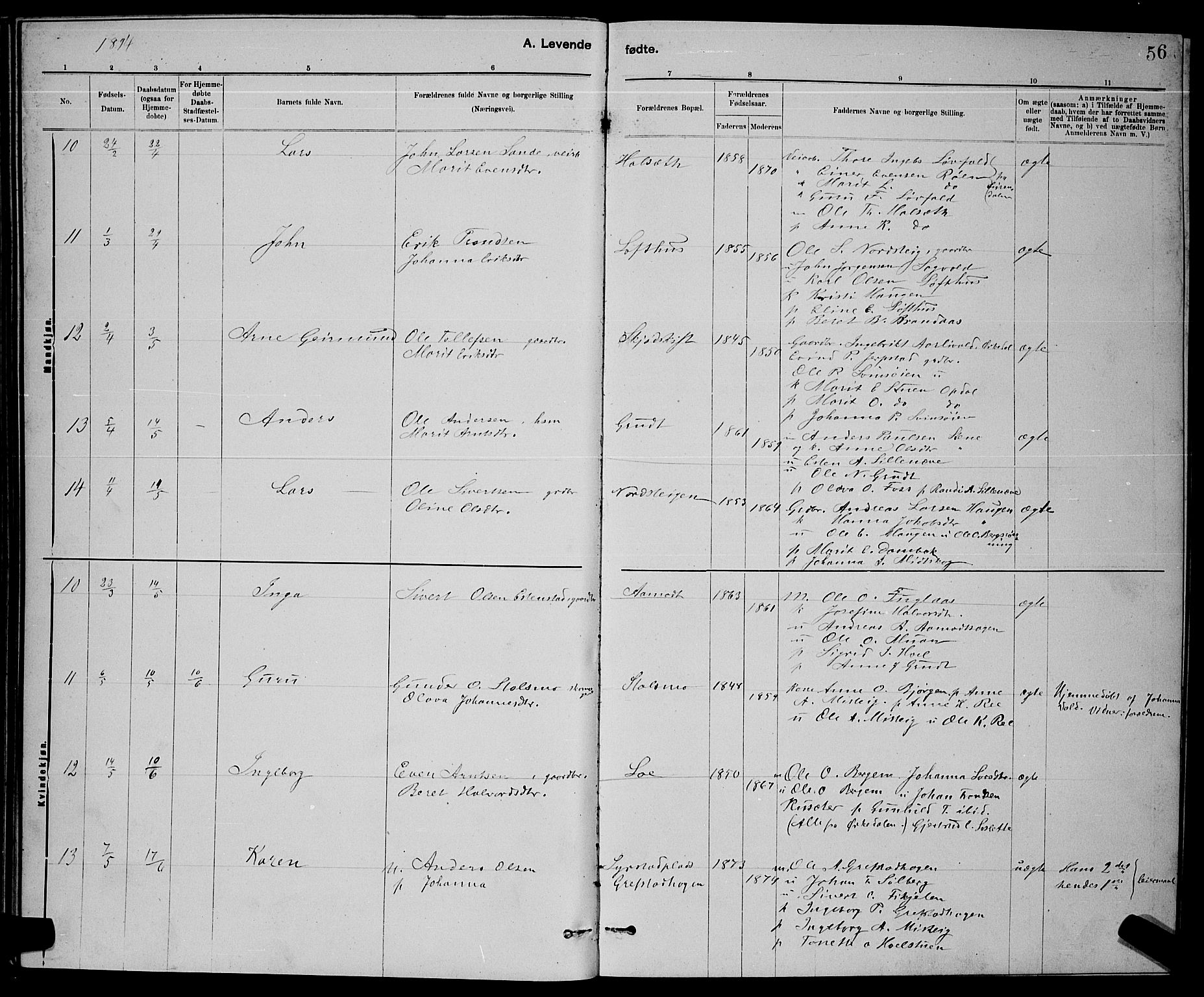 Ministerialprotokoller, klokkerbøker og fødselsregistre - Sør-Trøndelag, AV/SAT-A-1456/672/L0863: Parish register (copy) no. 672C02, 1888-1901, p. 56