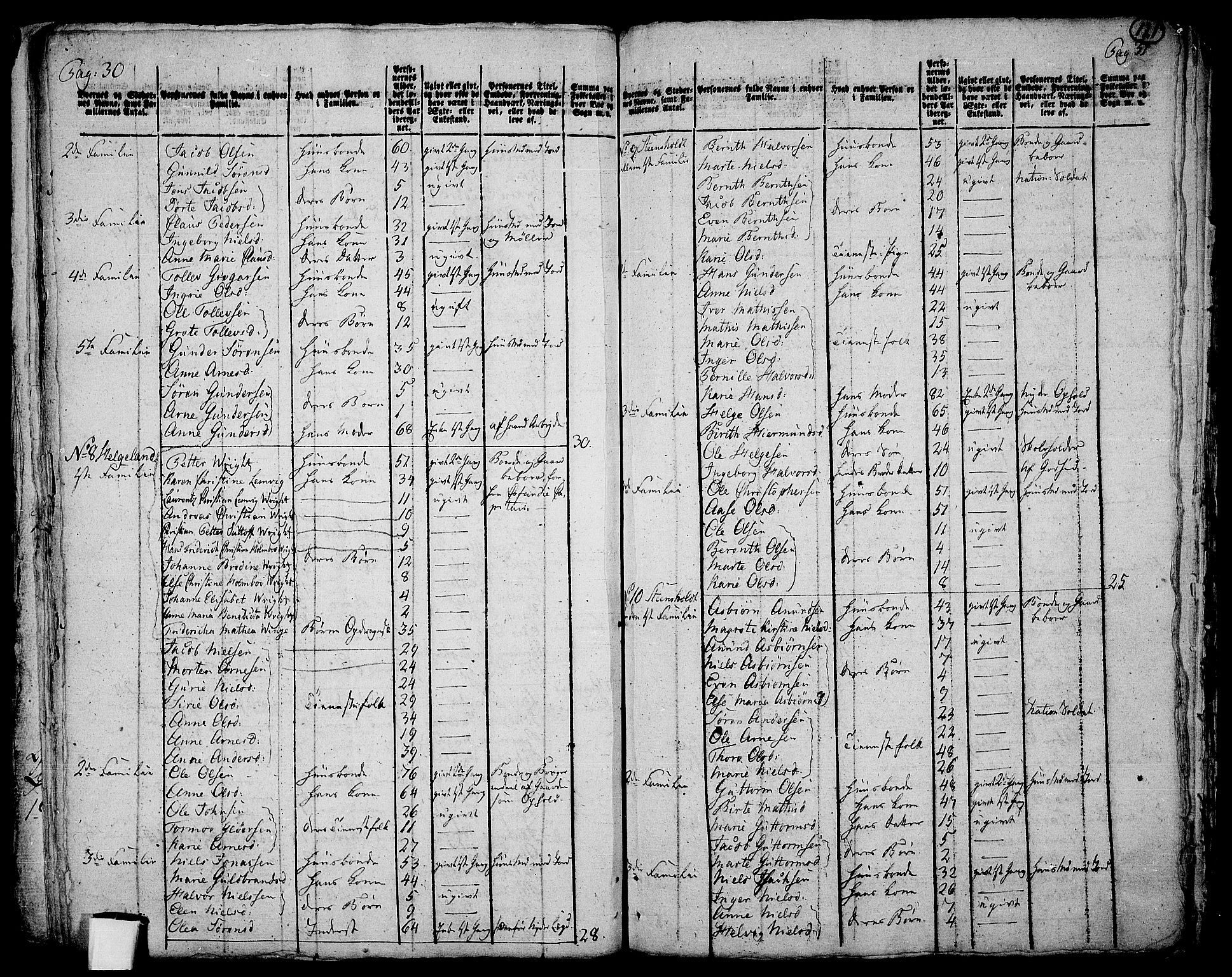 RA, 1801 census for 0728P Lardal, 1801, p. 120b-121a