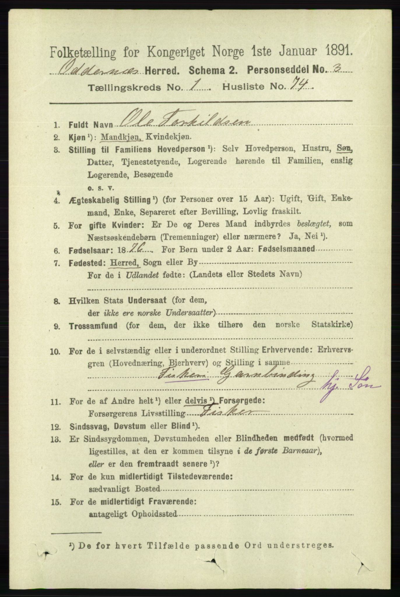 RA, 1891 census for 1012 Oddernes, 1891, p. 519