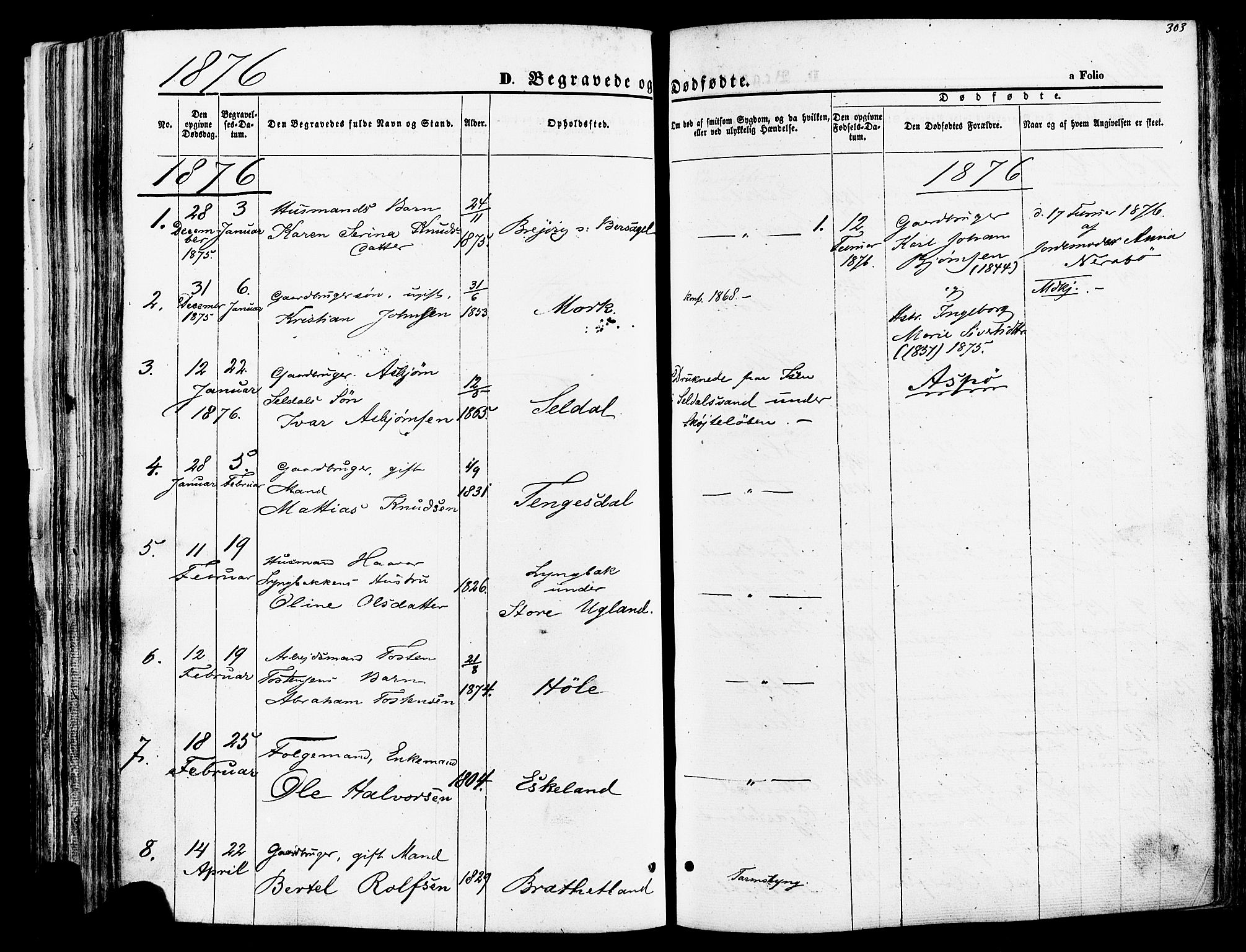 Høgsfjord sokneprestkontor, SAST/A-101624/H/Ha/Haa/L0002: Parish register (official) no. A 2, 1855-1885, p. 303