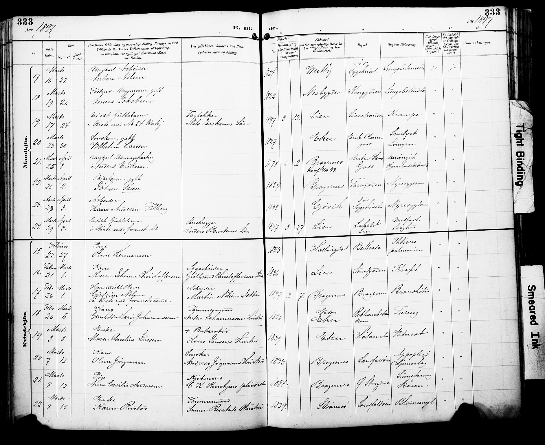 Bragernes kirkebøker, SAKO/A-6/F/Fb/L0008: Parish register (official) no. II 8, 1894-1902, p. 333