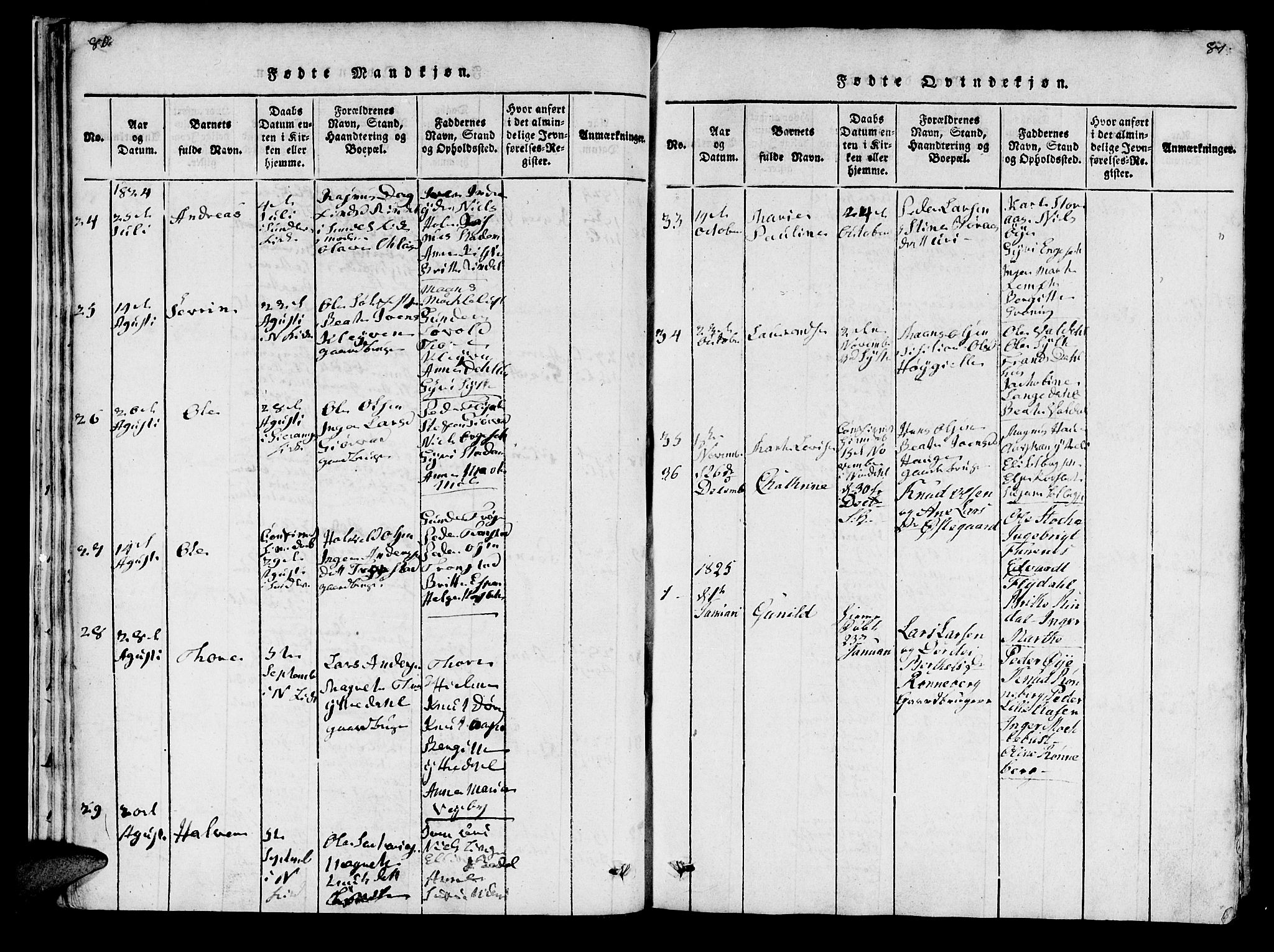 Ministerialprotokoller, klokkerbøker og fødselsregistre - Møre og Romsdal, SAT/A-1454/519/L0246: Parish register (official) no. 519A05, 1817-1834, p. 80-81