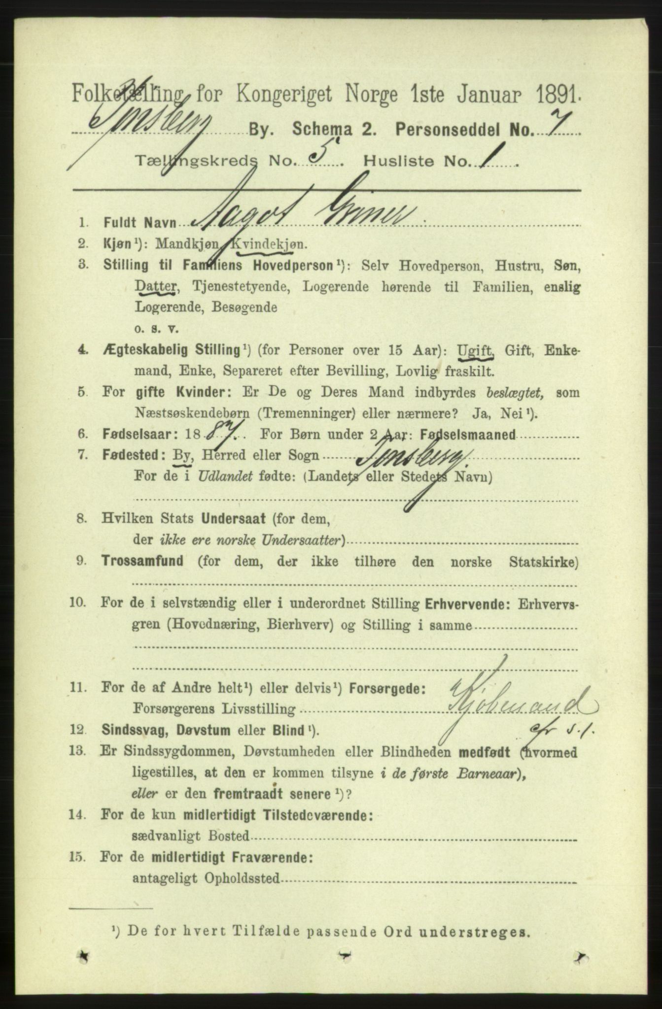 RA, 1891 census for 0705 Tønsberg, 1891, p. 2206