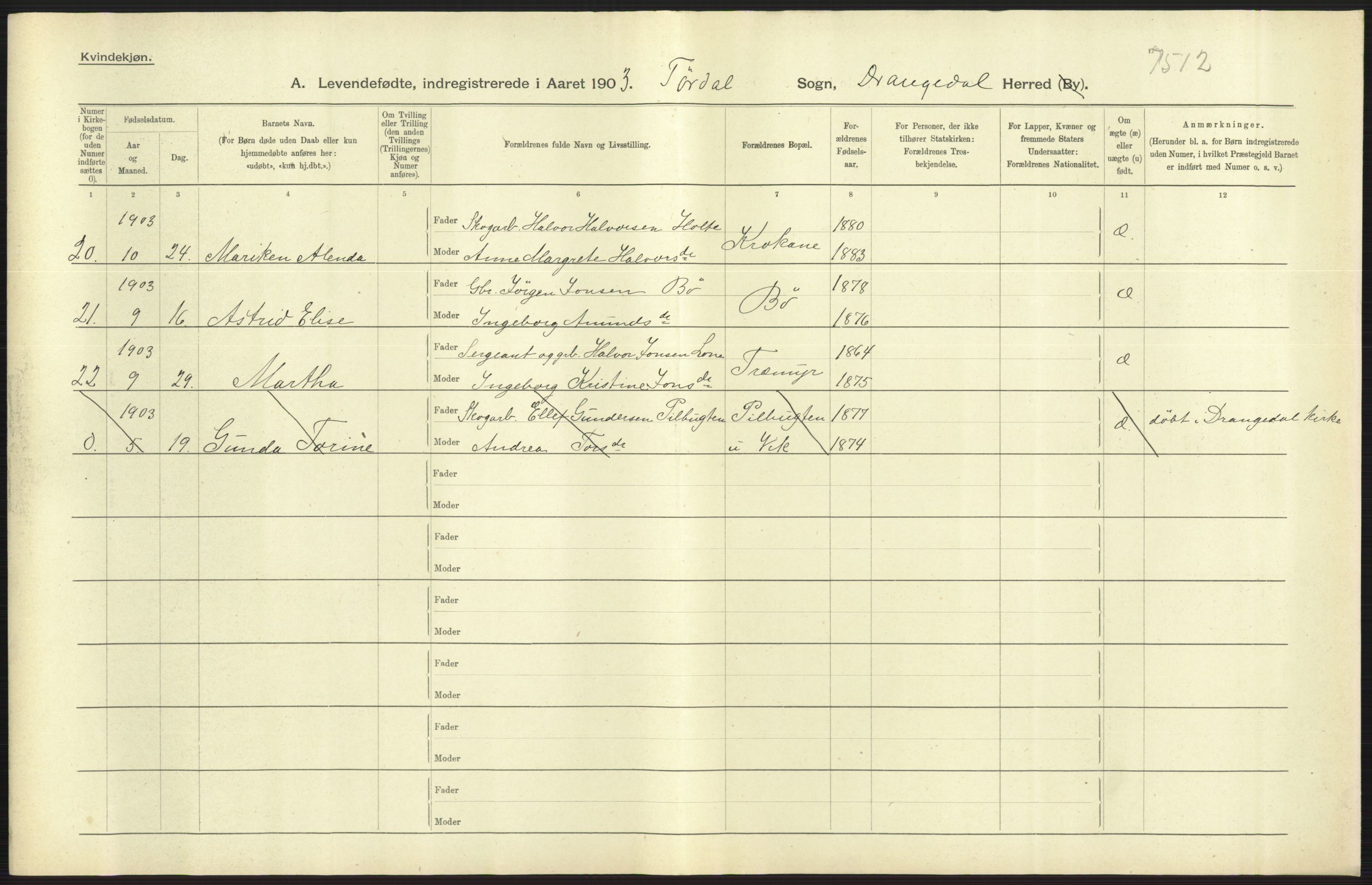 Statistisk sentralbyrå, Sosiodemografiske emner, Befolkning, AV/RA-S-2228/D/Df/Dfa/Dfaa/L0009: Bratsberg amt: Fødte, gifte, døde, 1903, p. 267