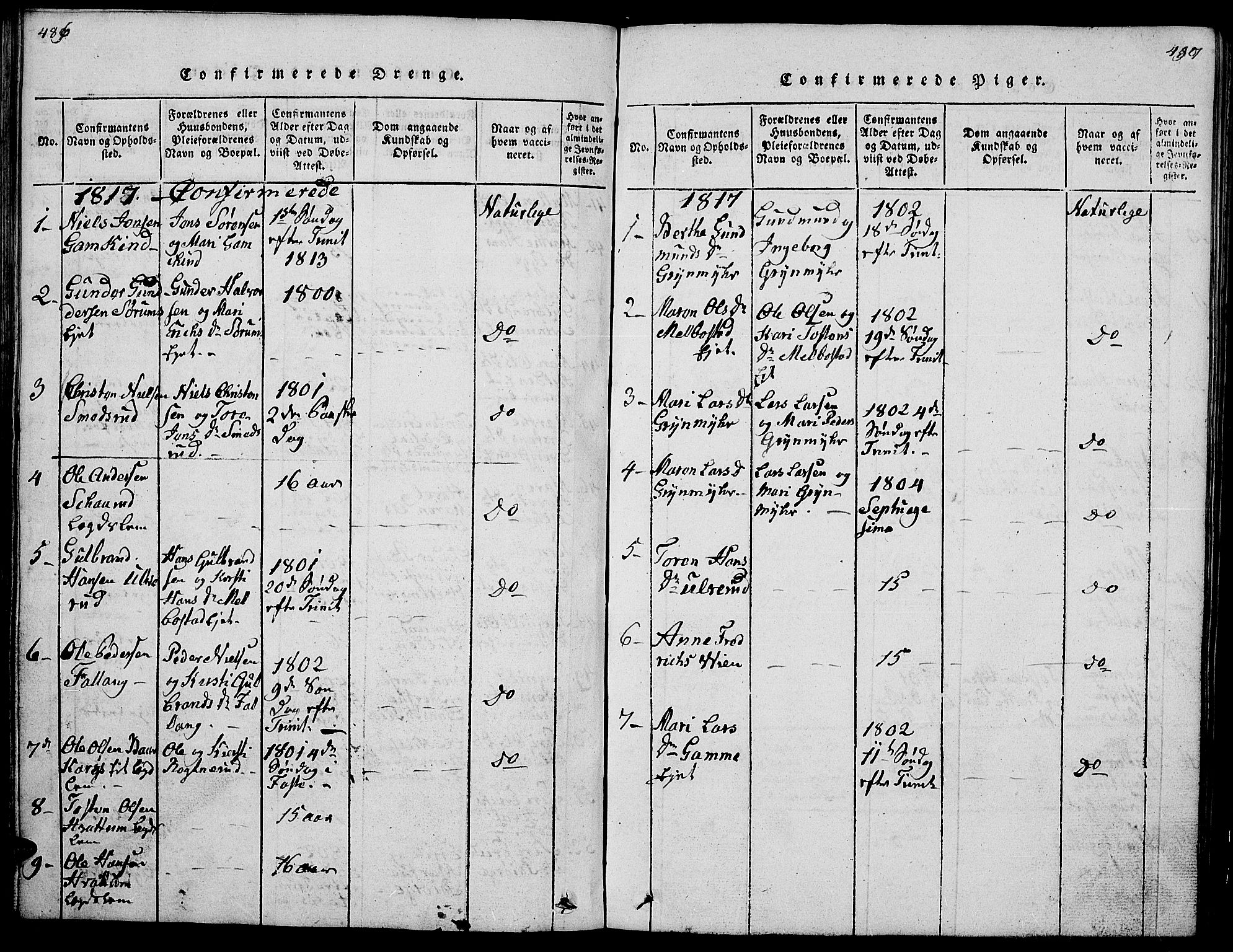 Gran prestekontor, SAH/PREST-112/H/Ha/Hab/L0001: Parish register (copy) no. 1, 1815-1824, p. 486-487