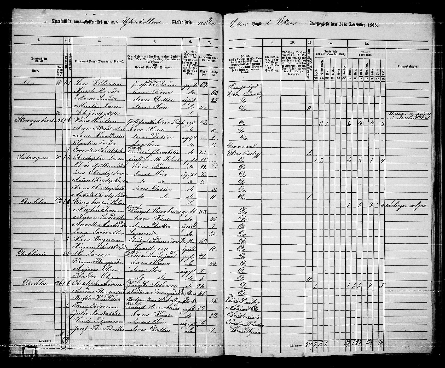 RA, 1865 census for Eiker, 1865, p. 289