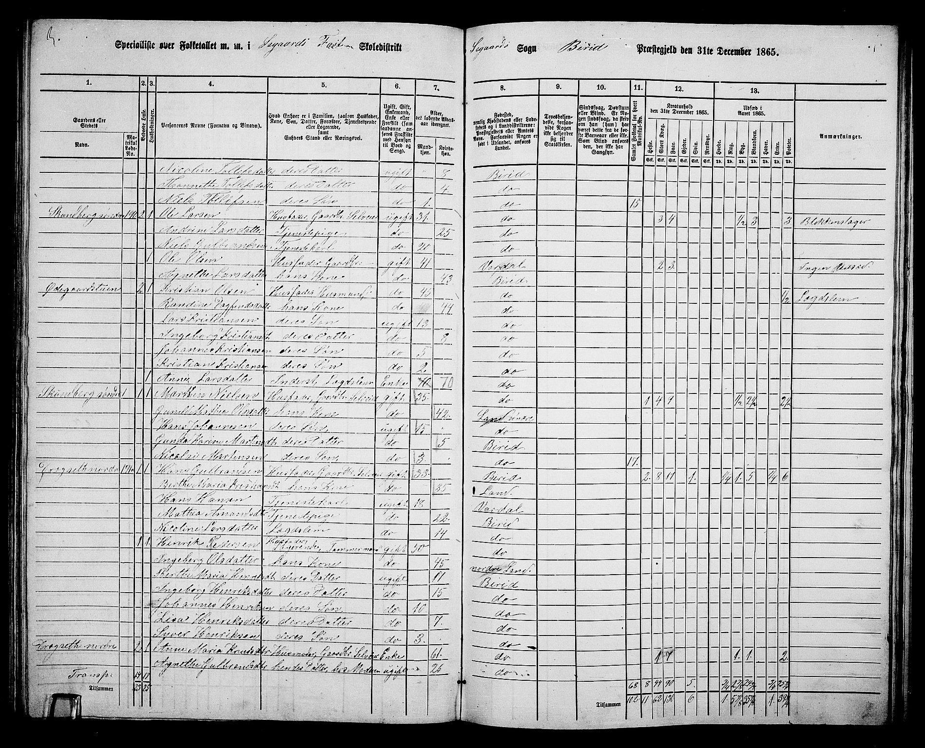 RA, 1865 census for Biri, 1865, p. 176