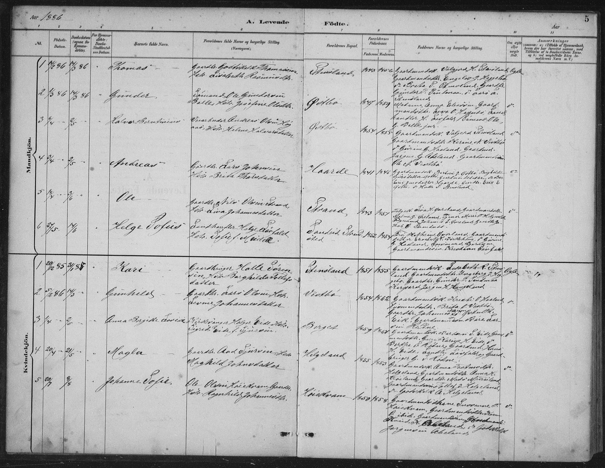 Vikedal sokneprestkontor, AV/SAST-A-101840/01/IV: Parish register (official) no. A 11, 1884-1933, p. 5