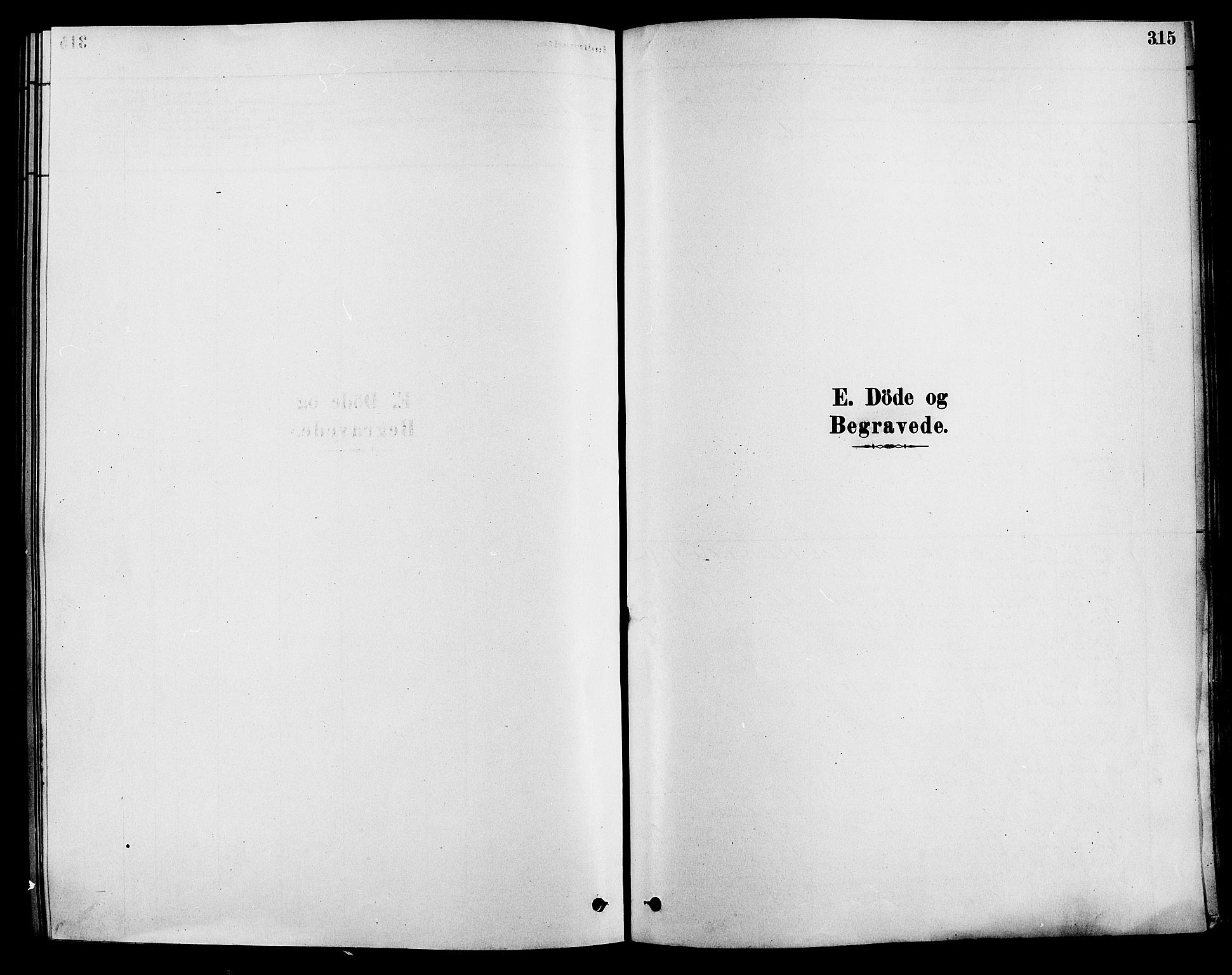 Løten prestekontor, SAH/PREST-022/K/Ka/L0009: Parish register (official) no. 9, 1878-1891, p. 315