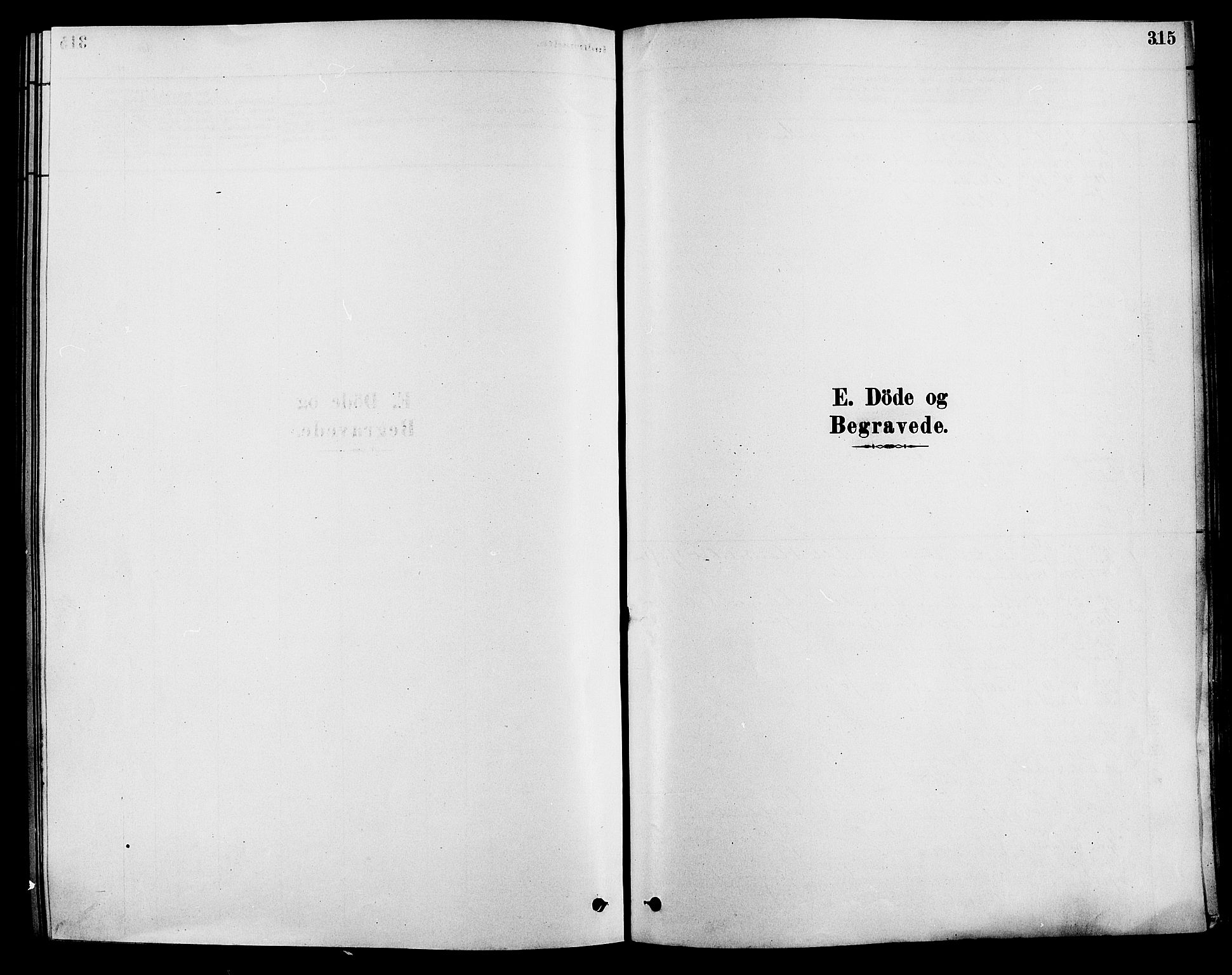 Løten prestekontor, AV/SAH-PREST-022/K/Ka/L0009: Parish register (official) no. 9, 1878-1891, p. 315