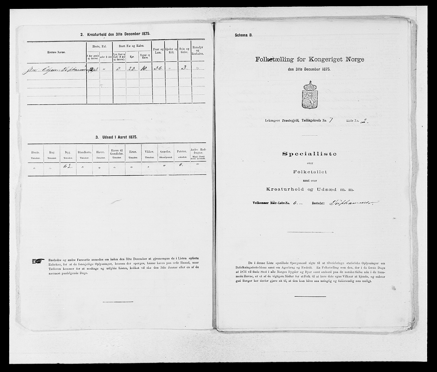 SAB, 1875 census for 1419P Leikanger, 1875, p. 25