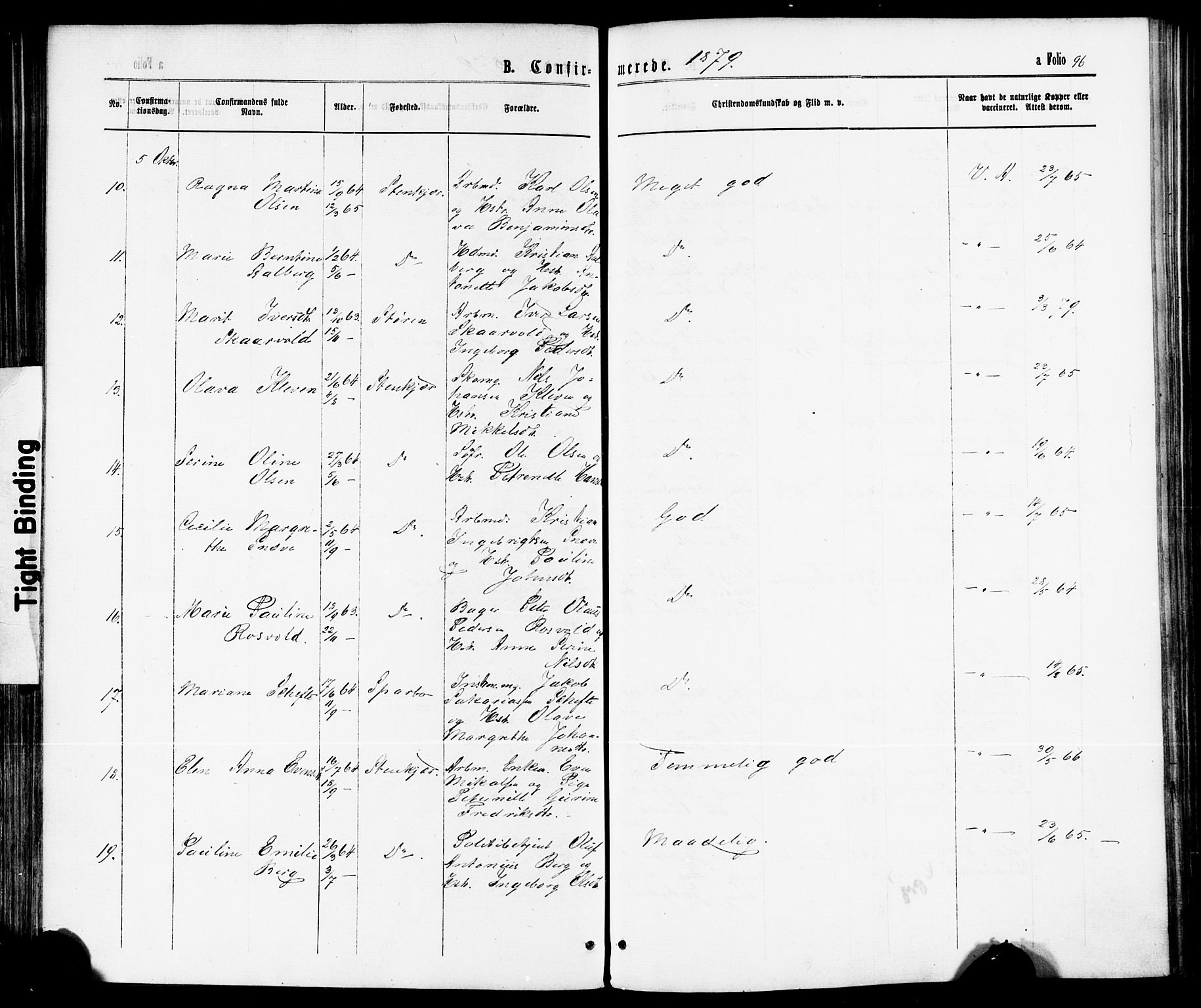 Ministerialprotokoller, klokkerbøker og fødselsregistre - Nord-Trøndelag, AV/SAT-A-1458/739/L0370: Parish register (official) no. 739A02, 1868-1881, p. 96