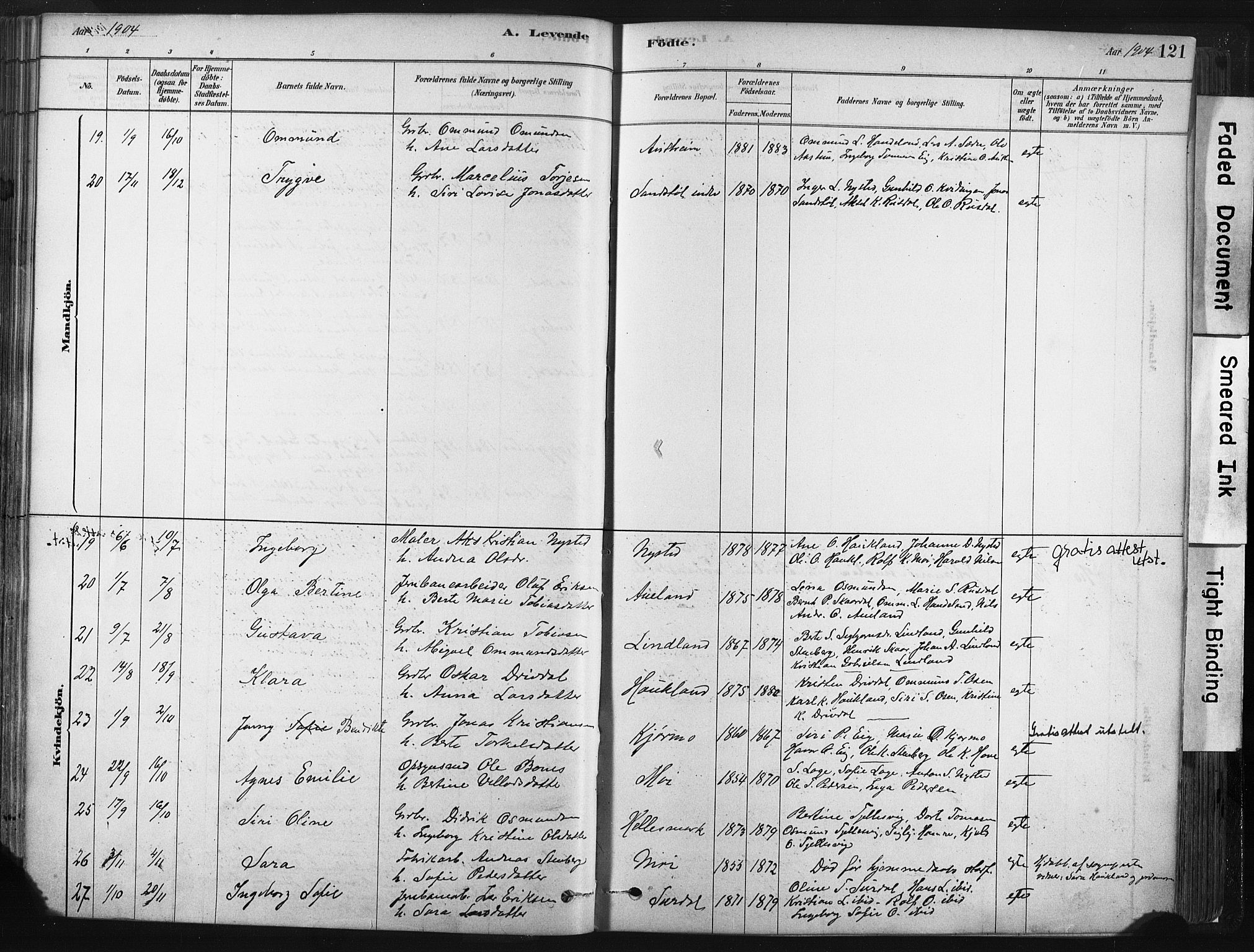 Lund sokneprestkontor, AV/SAST-A-101809/S06/L0011: Parish register (official) no. A 10, 1877-1904, p. 121