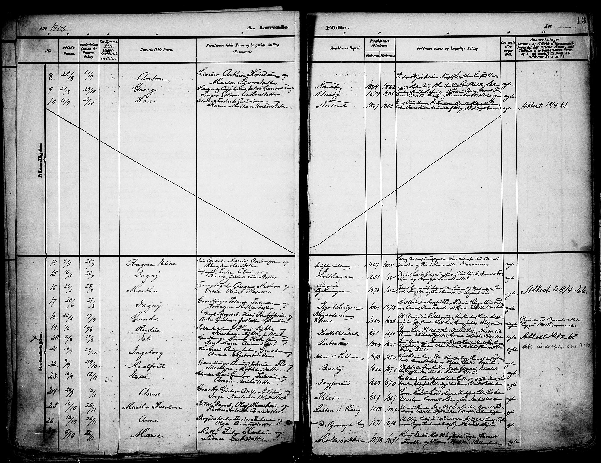 Nord-Odal prestekontor, SAH/PREST-032/H/Ha/Haa/L0007: Parish register (official) no. 7, 1902-1926, p. 13