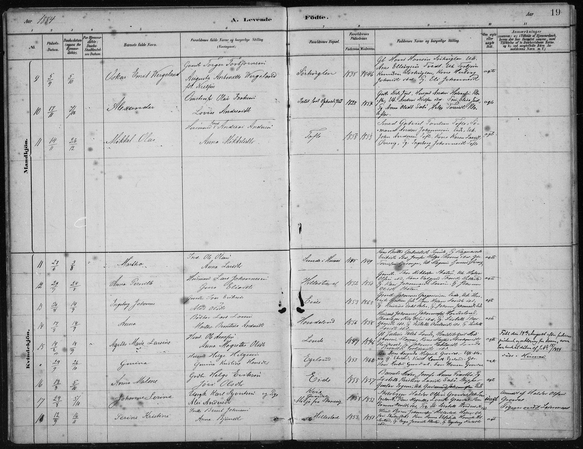 Fjelberg sokneprestembete, AV/SAB-A-75201/H/Haa: Parish register (official) no. C  1, 1879-1918, p. 19