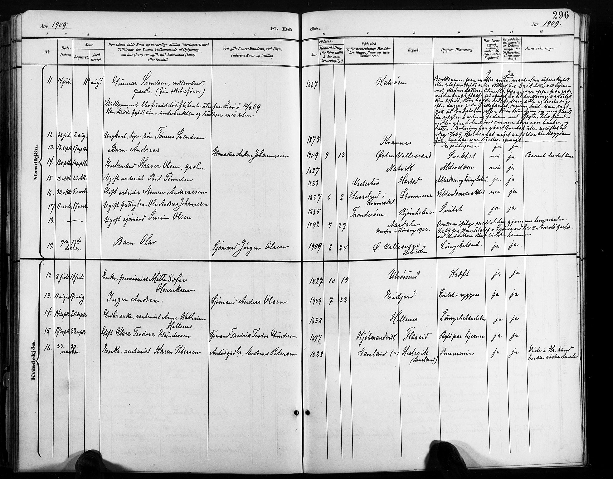 Høvåg sokneprestkontor, AV/SAK-1111-0025/F/Fb/L0005: Parish register (copy) no. B 5, 1898-1929, p. 296