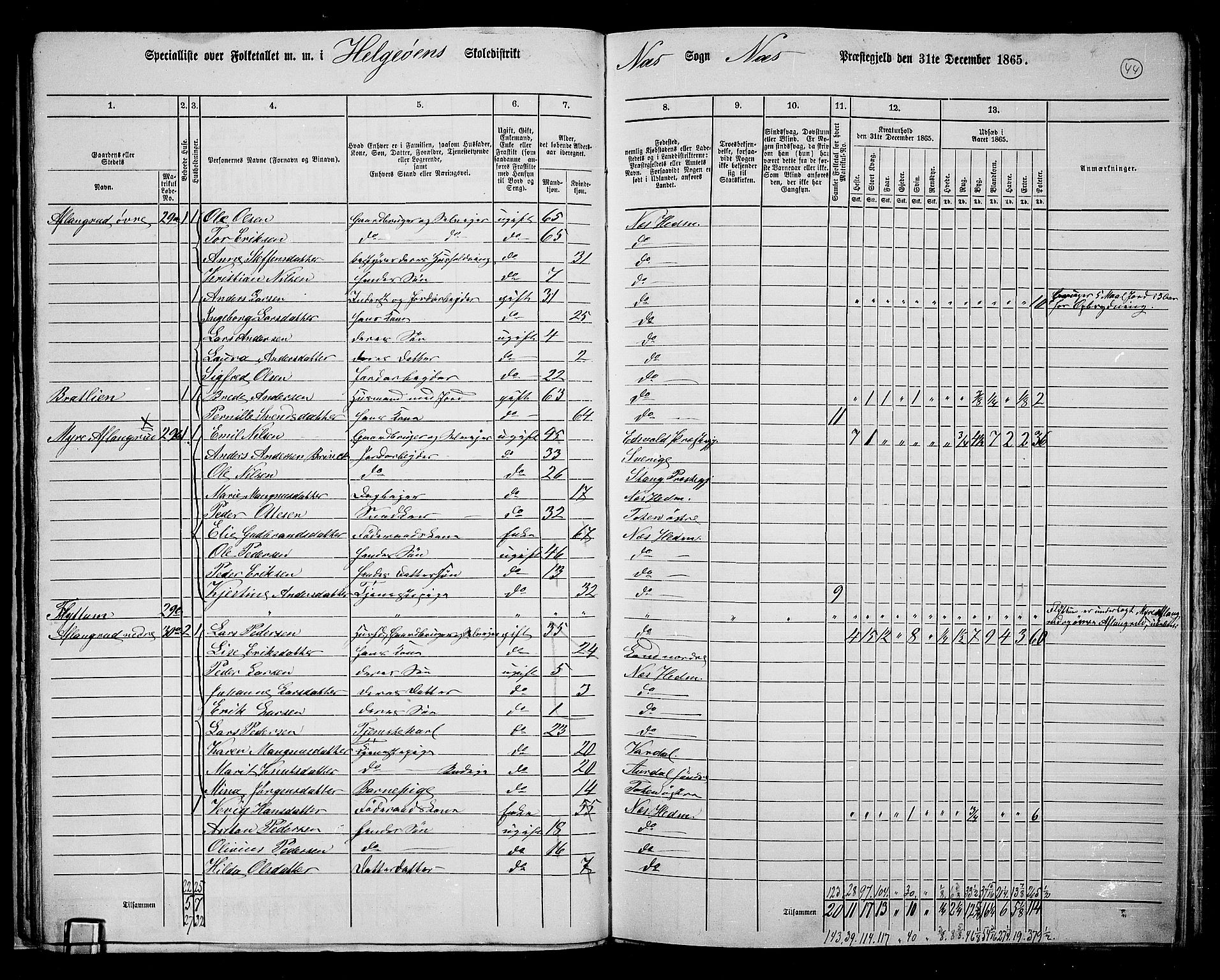RA, 1865 census for Nes, 1865, p. 37