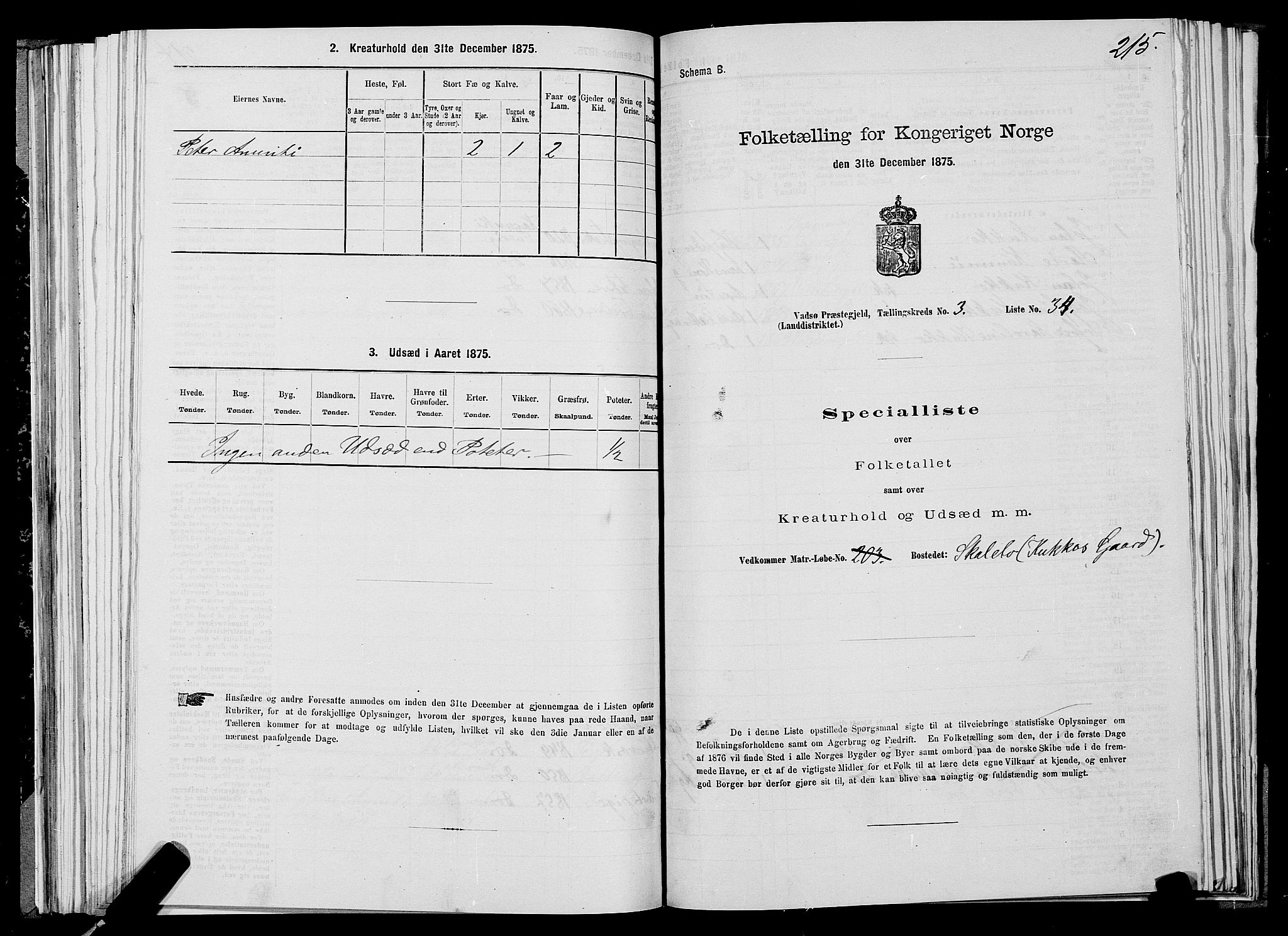 SATØ, 1875 census for 2029L Vadsø/Vadsø, 1875, p. 1215