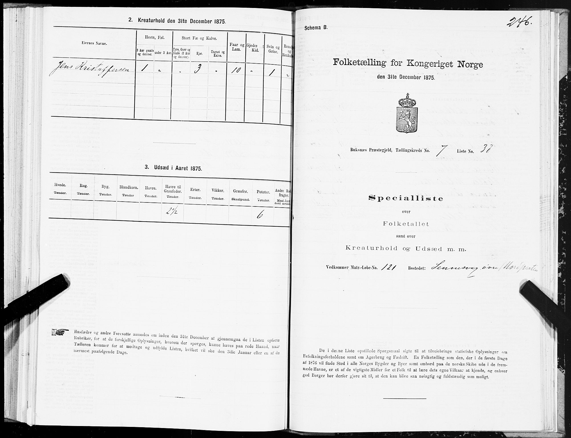 SAT, 1875 census for 1860P Buksnes, 1875, p. 3246